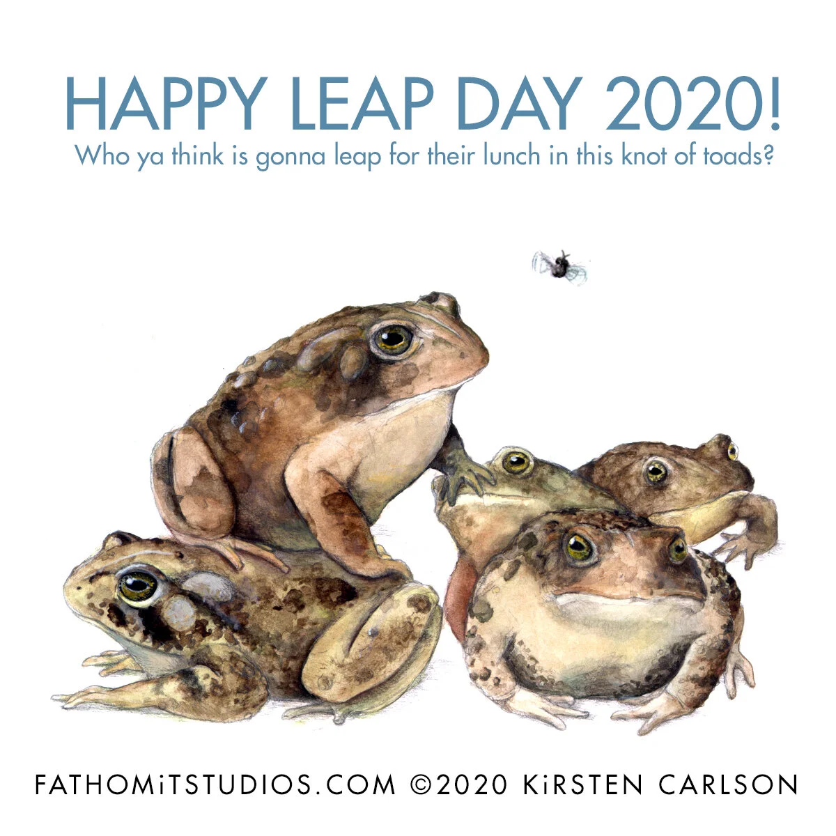 leap day toads.jpg