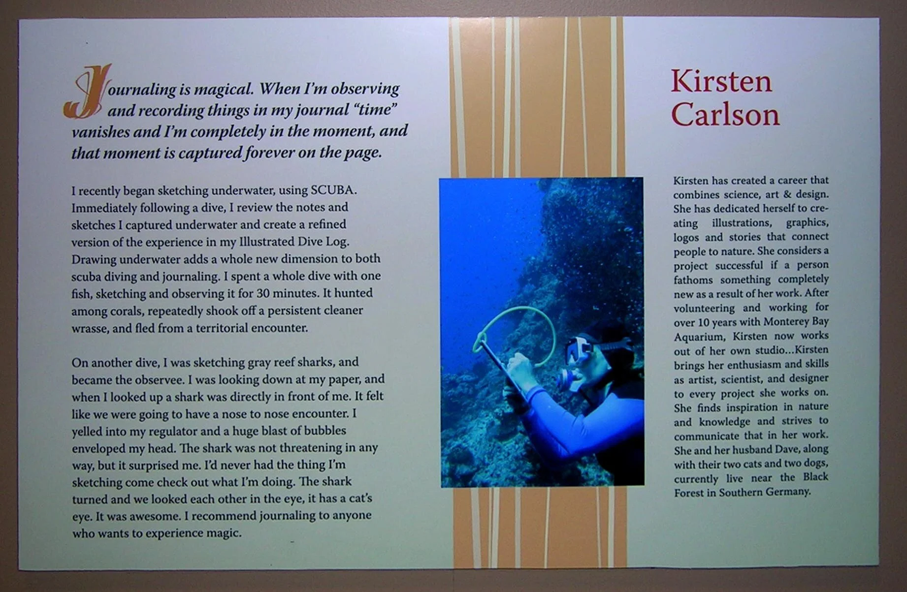 corrected graphic.jpg