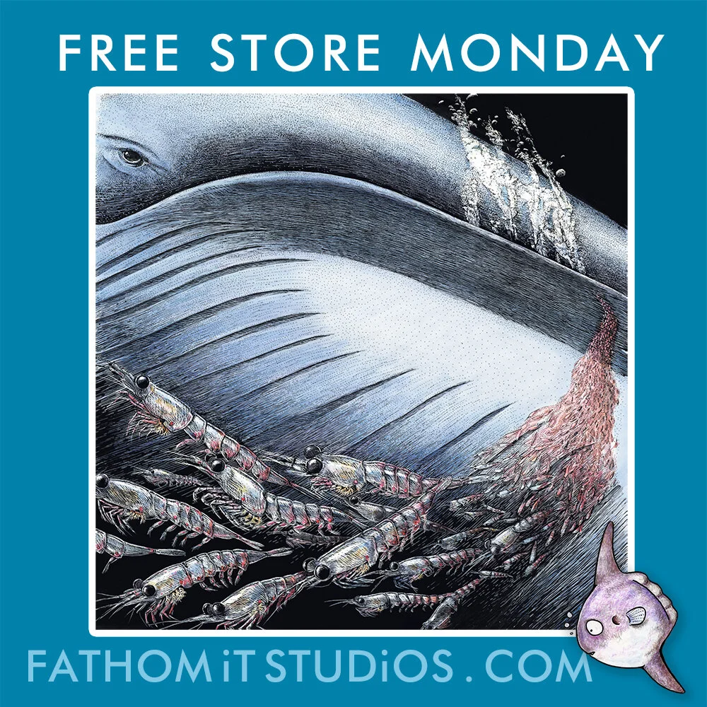 whale.jpg
