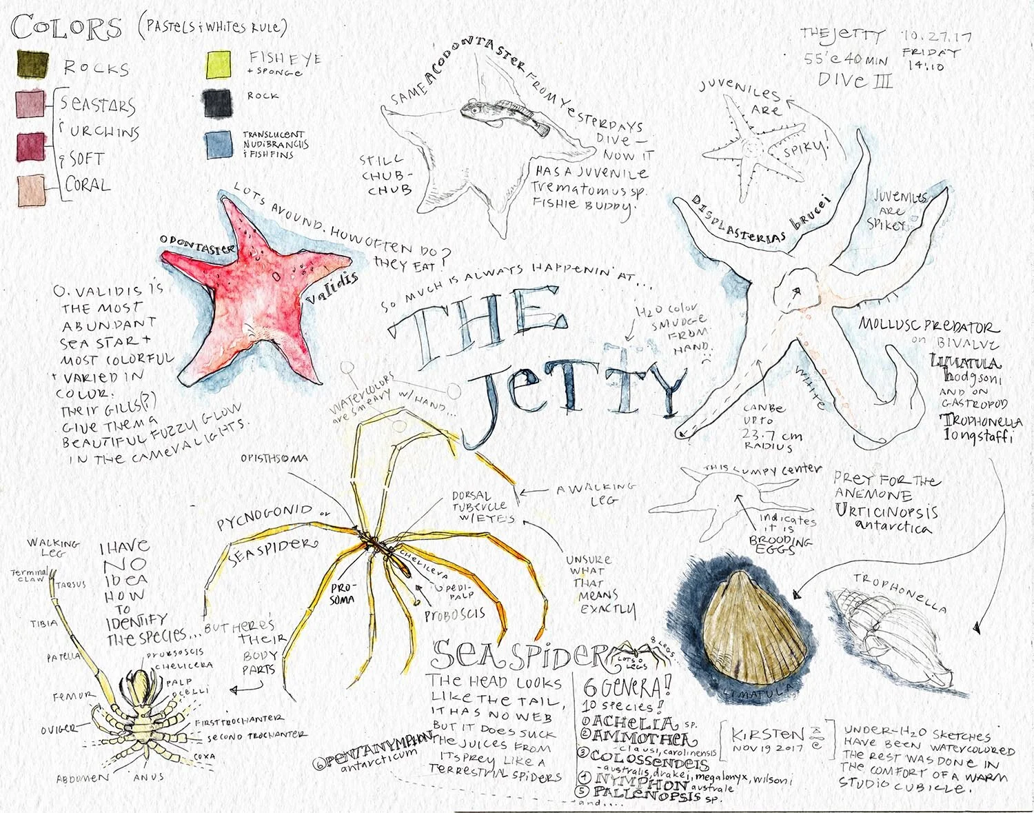 CARLSON_The-Jetty_2017:20.jpg