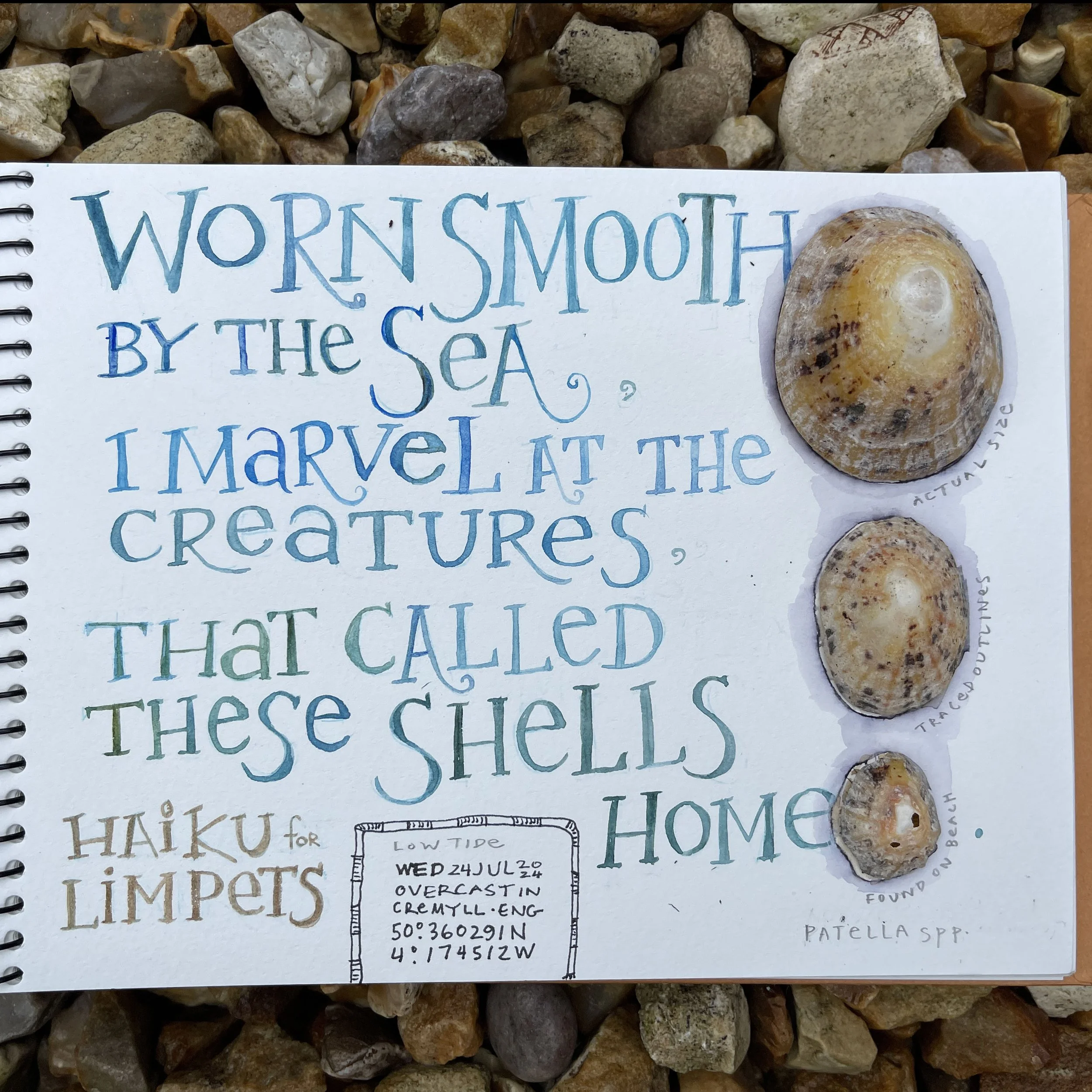 Limpet Haiku square.jpg