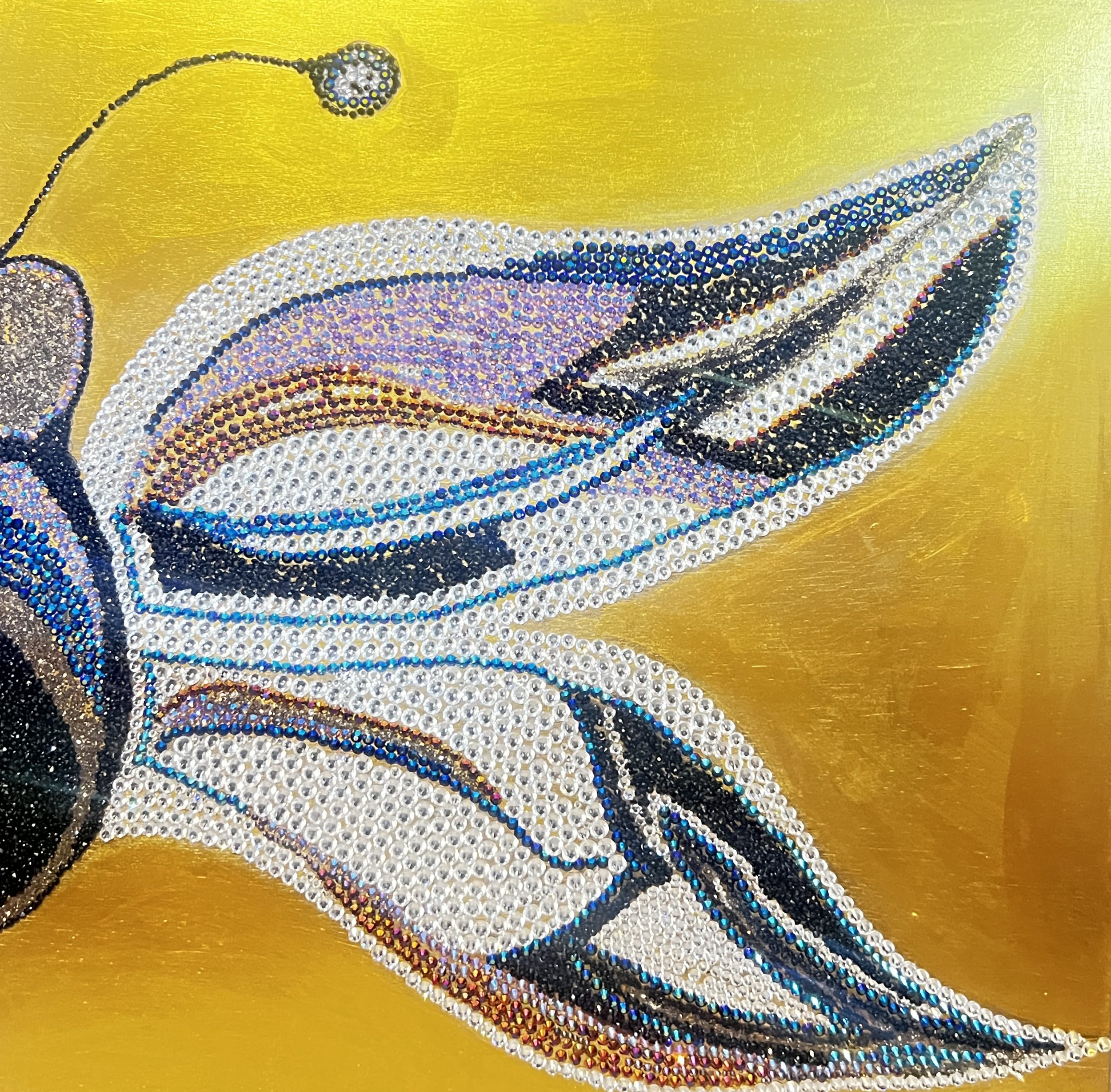Fly High Butterfly    24x24