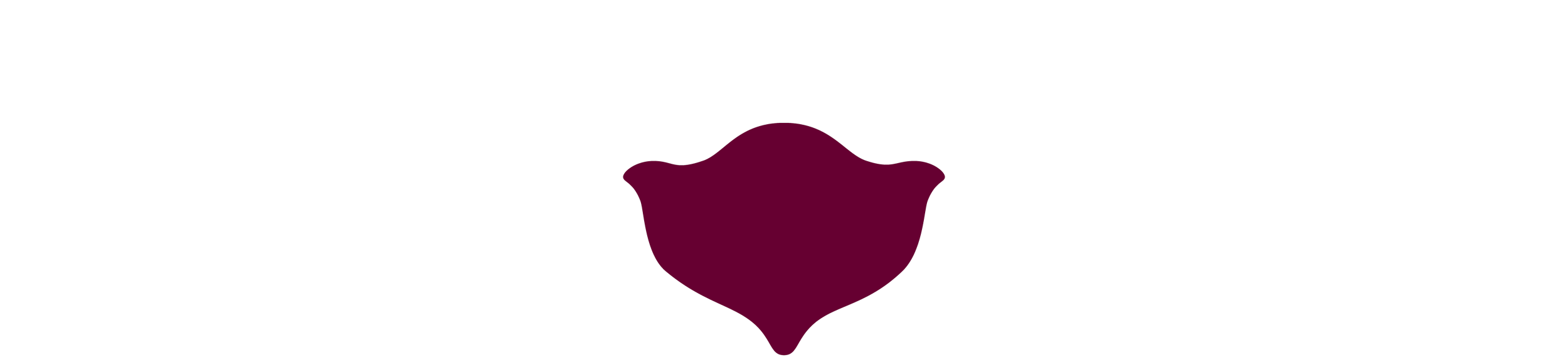 A burgundy rose