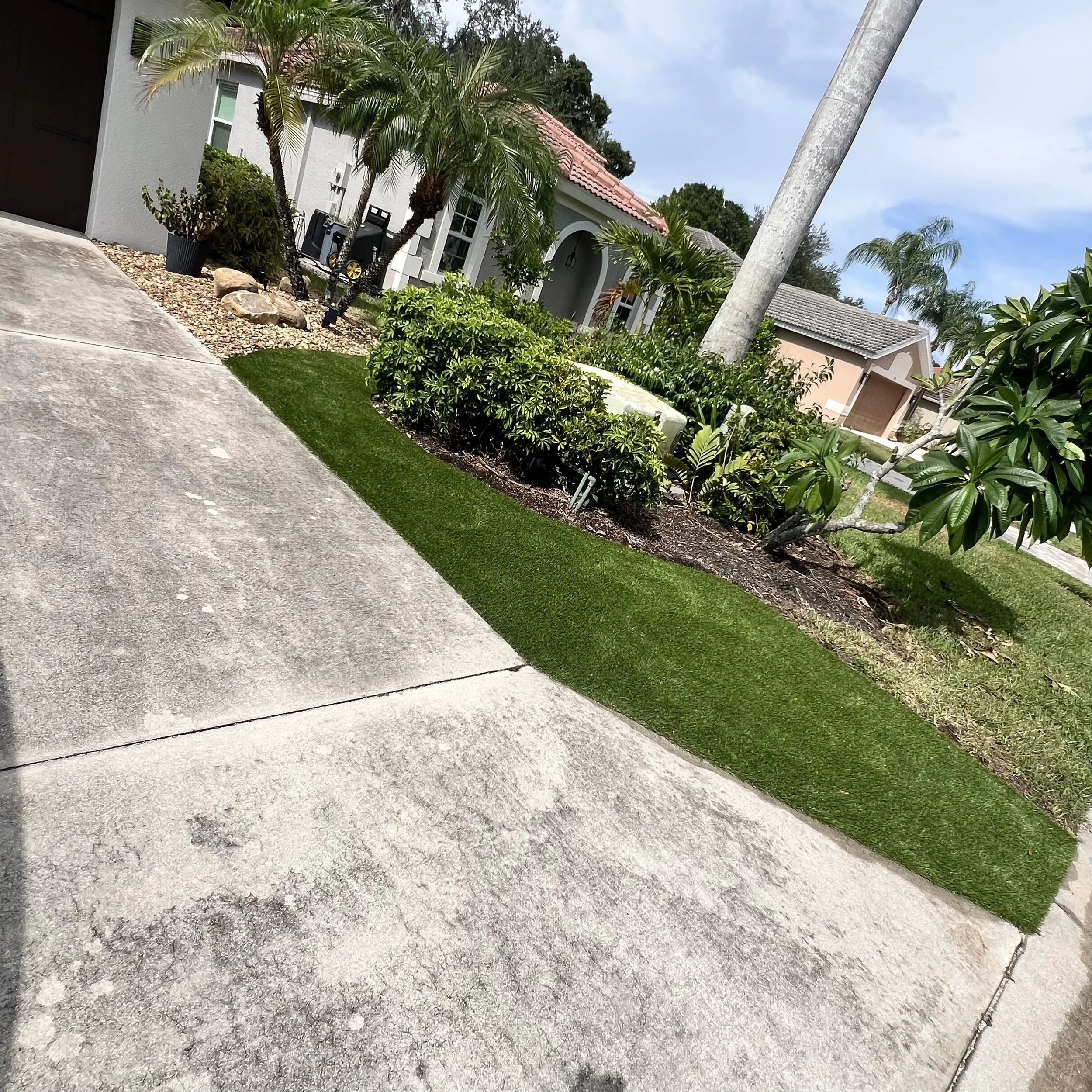 IMG_0526.jpeg