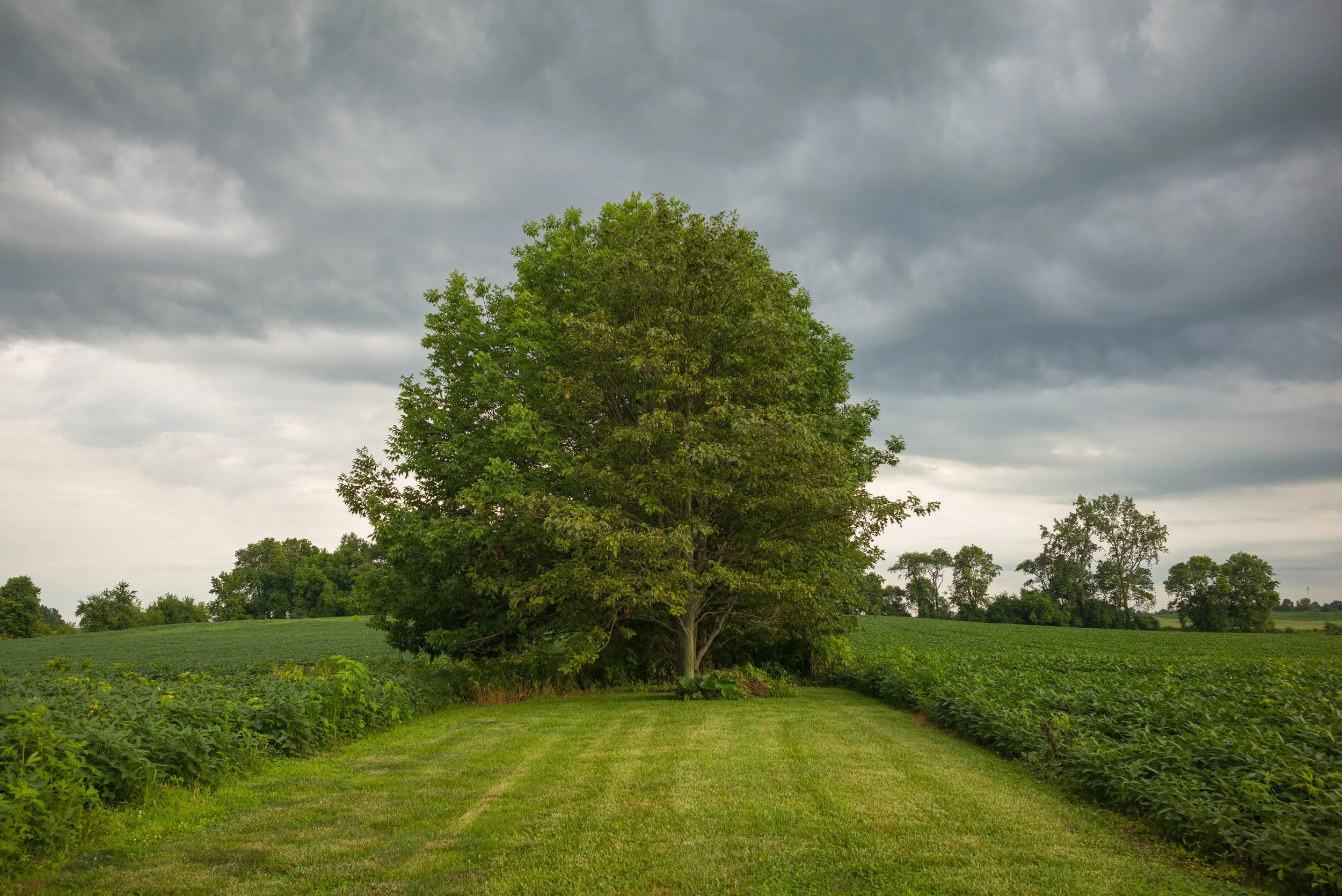 2017_Delbecq_Farm_27.jpg