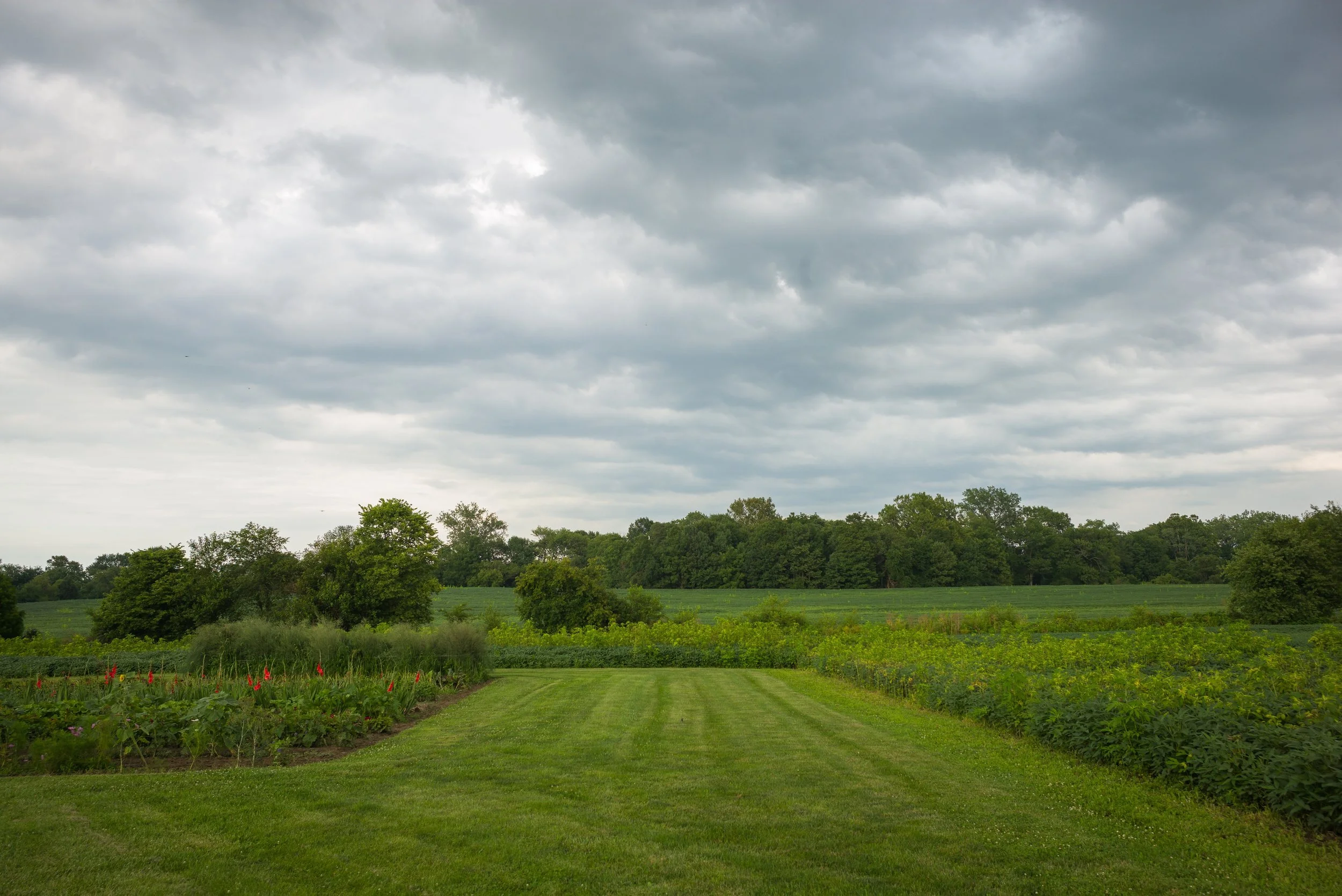 2017_Delbecq_Farm_26.jpg