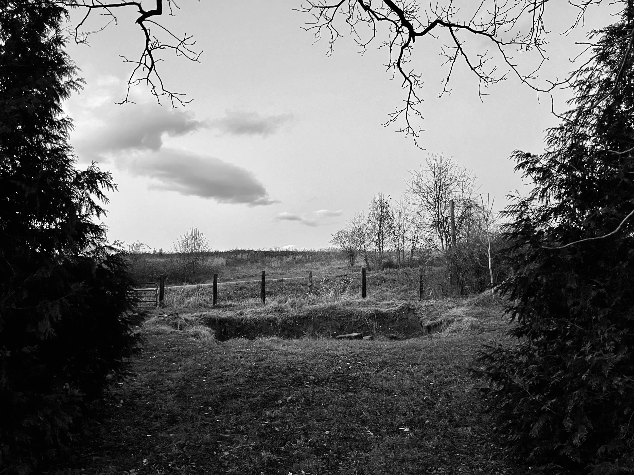 IMG_4809.jpeg