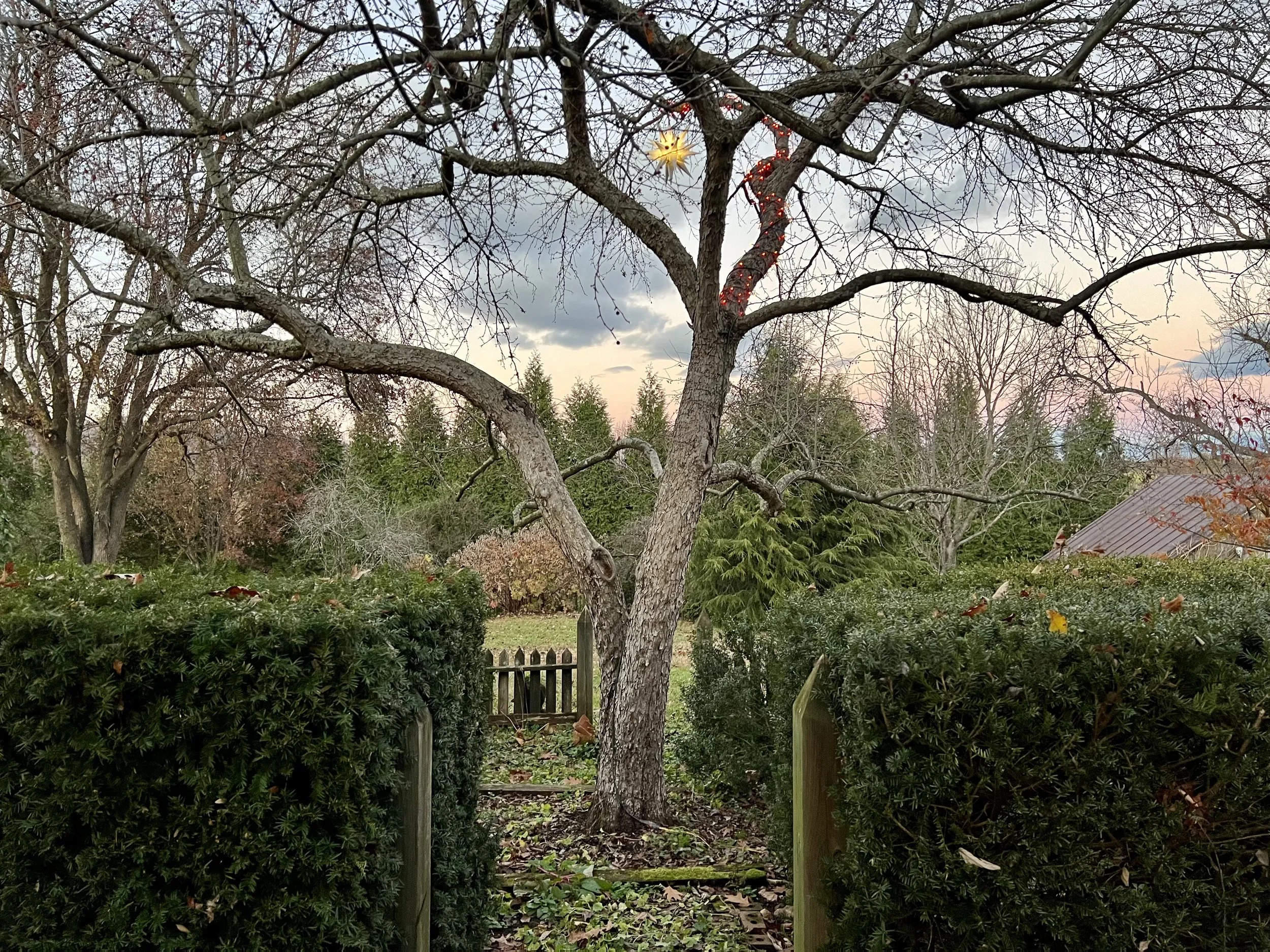 IMG_4806.jpeg