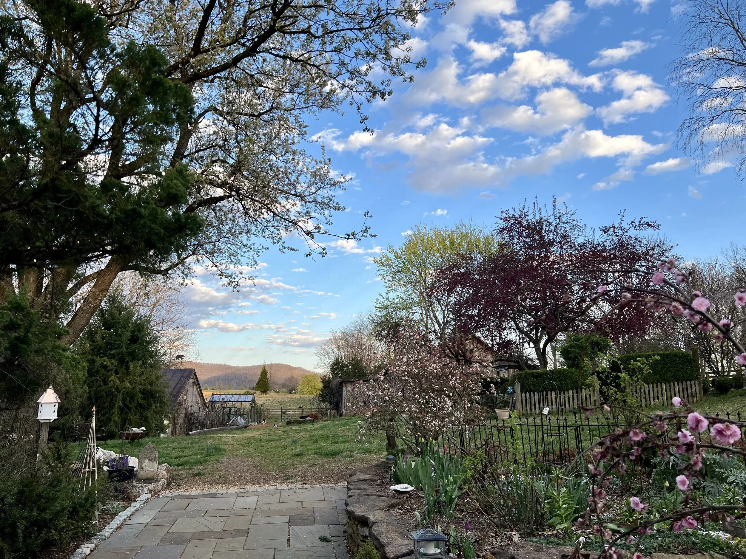 IMG_4452.jpeg