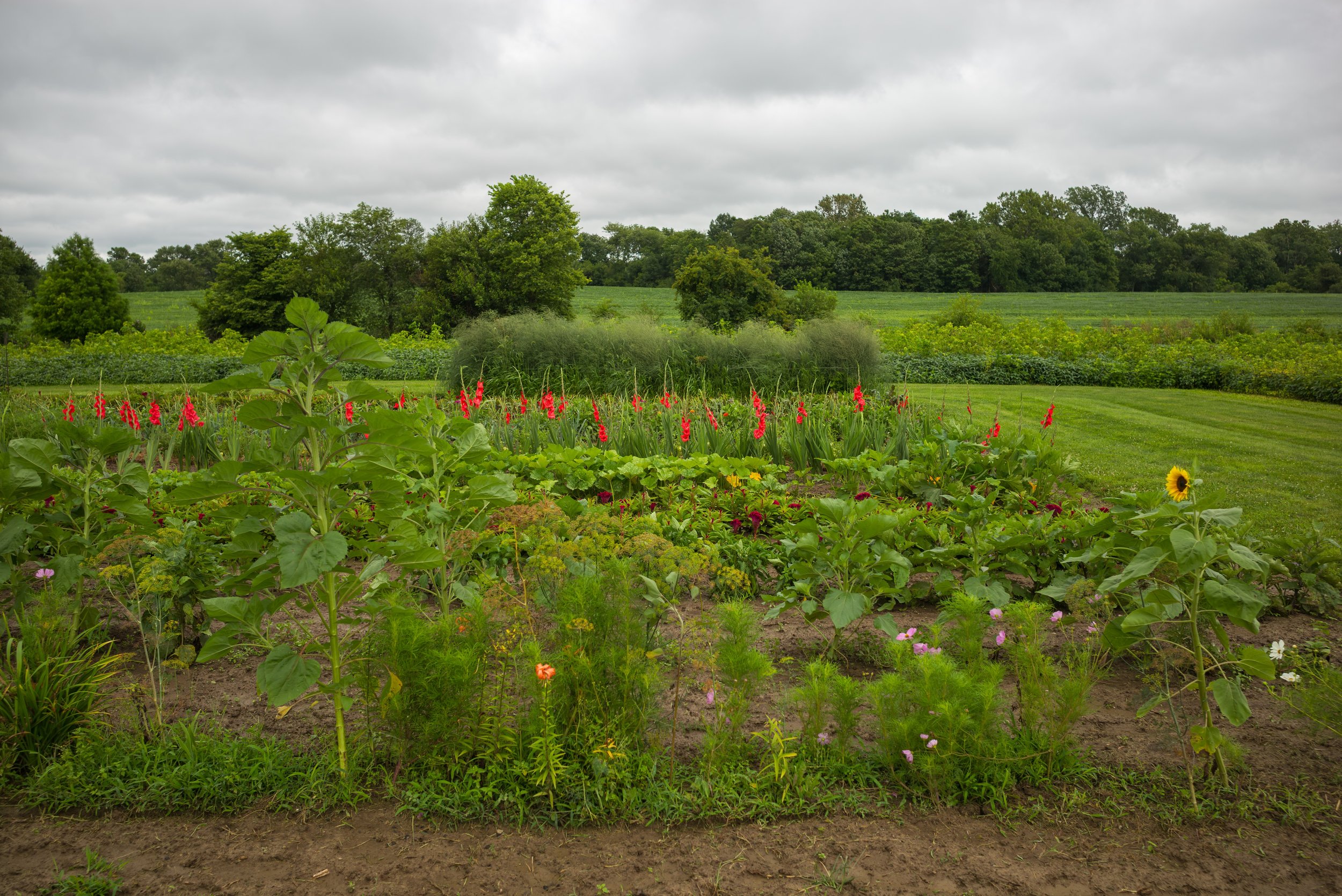 2017_Delbecq_Farm_4.jpg