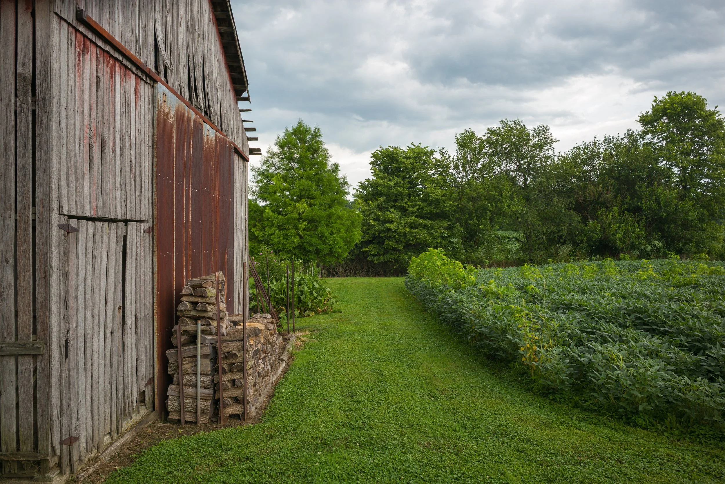 2017_Delbecq_Farm_21.jpg