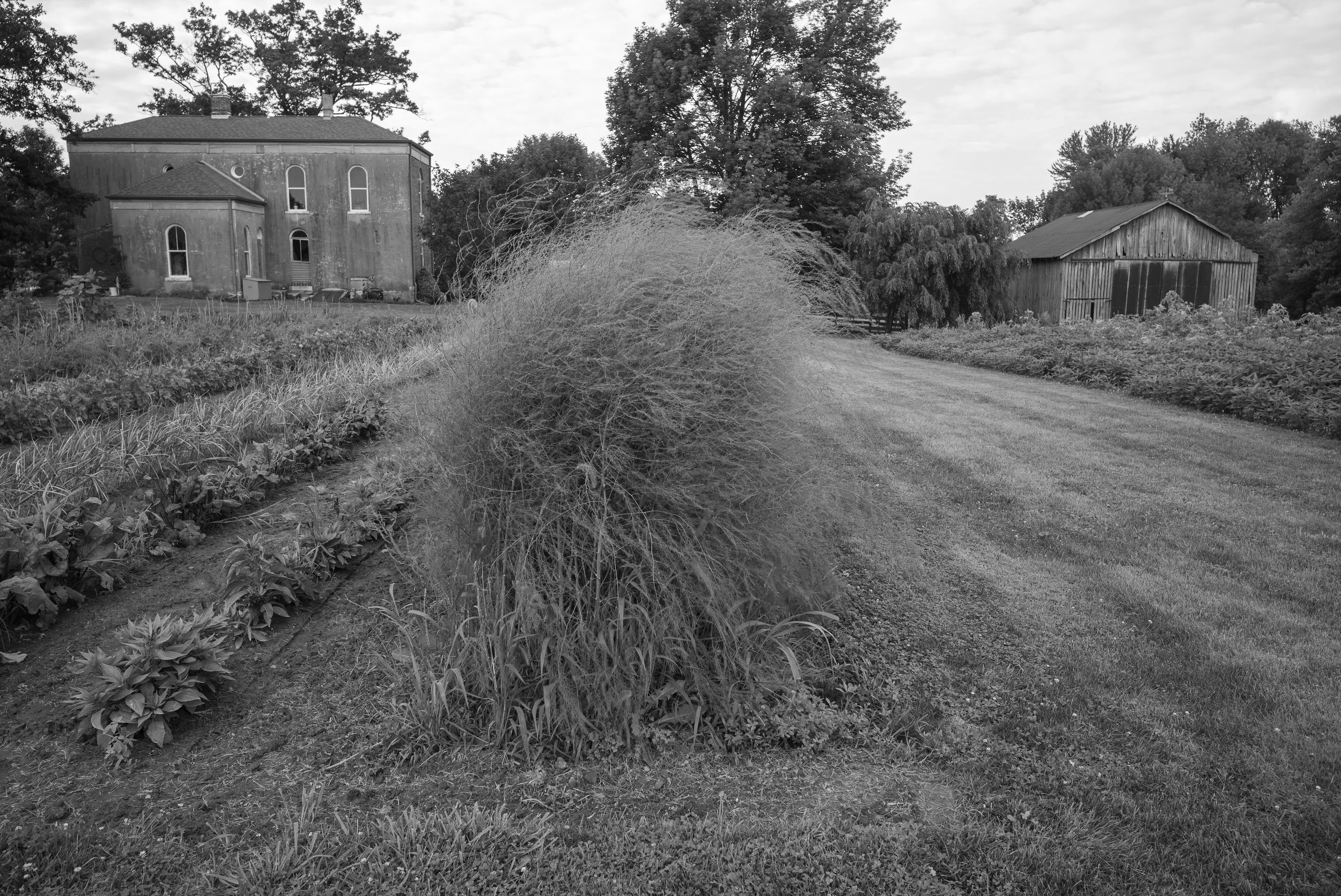 2017_Delbecq_Farm_18.jpg