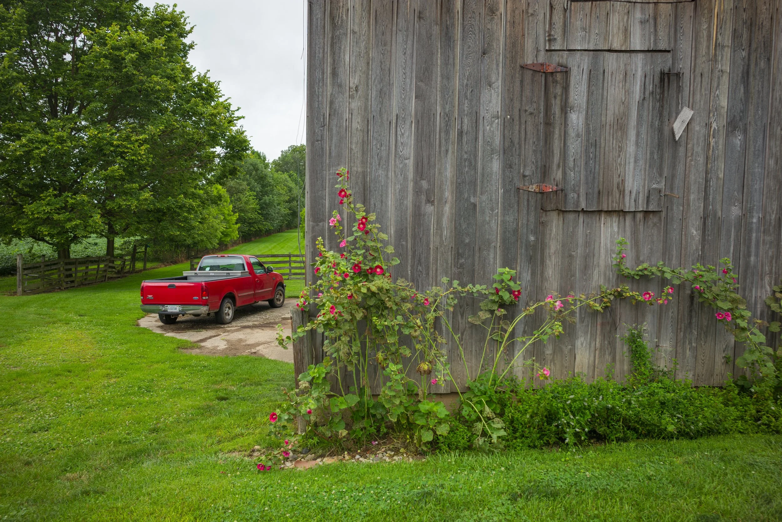 2017_Delbecq_Farm_7.jpg