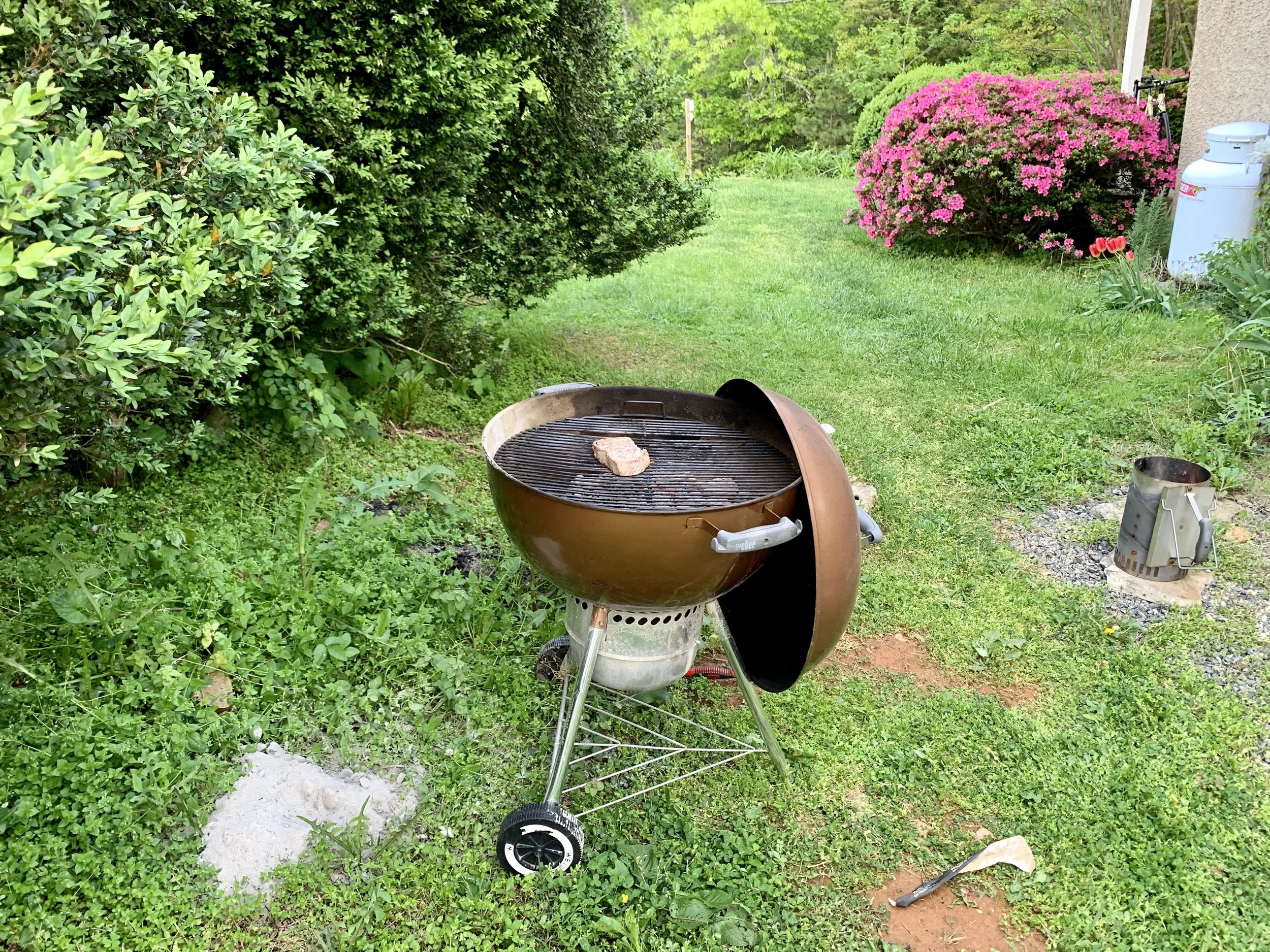 IMG_6756.jpeg