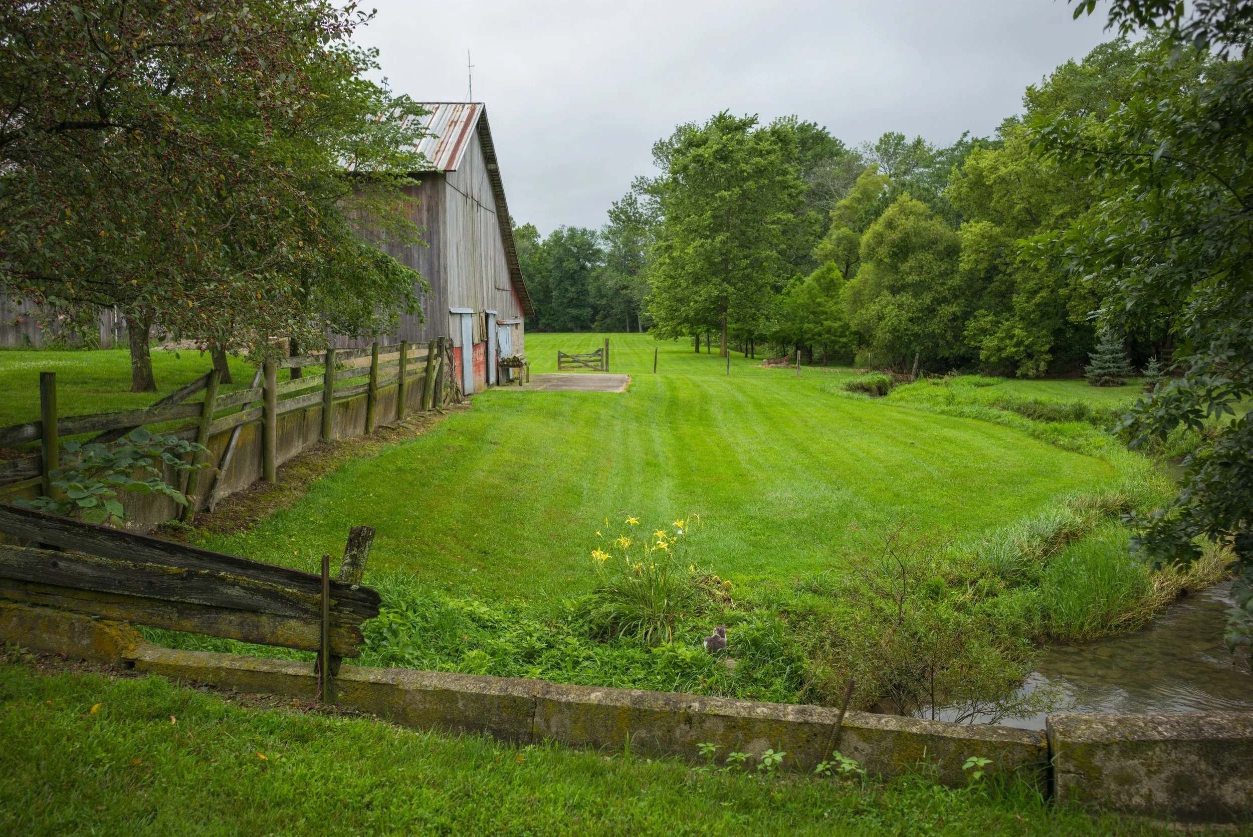 2017_Delbecq_Farm_11.jpg