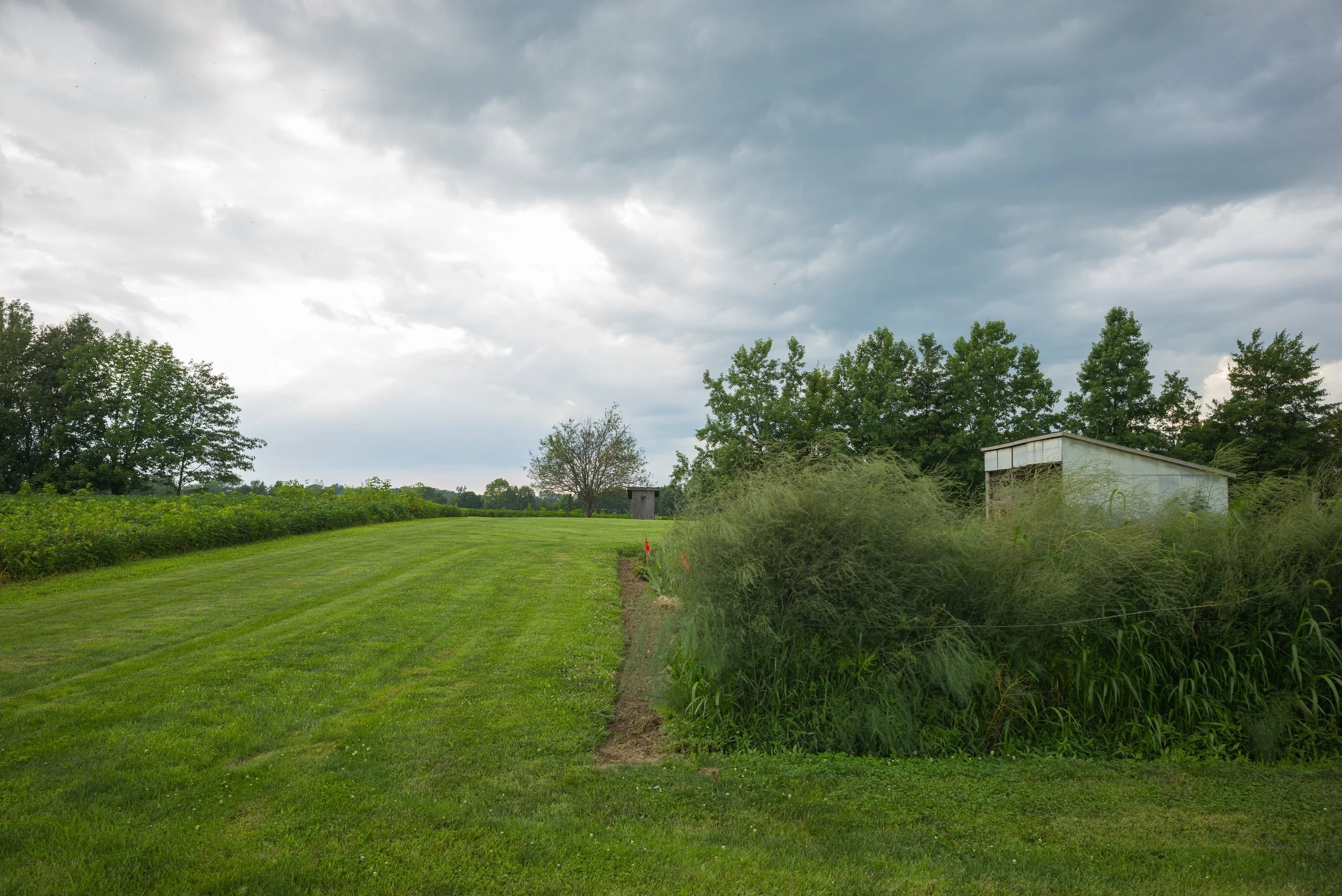 2017_Delbecq_Farm_19.jpg