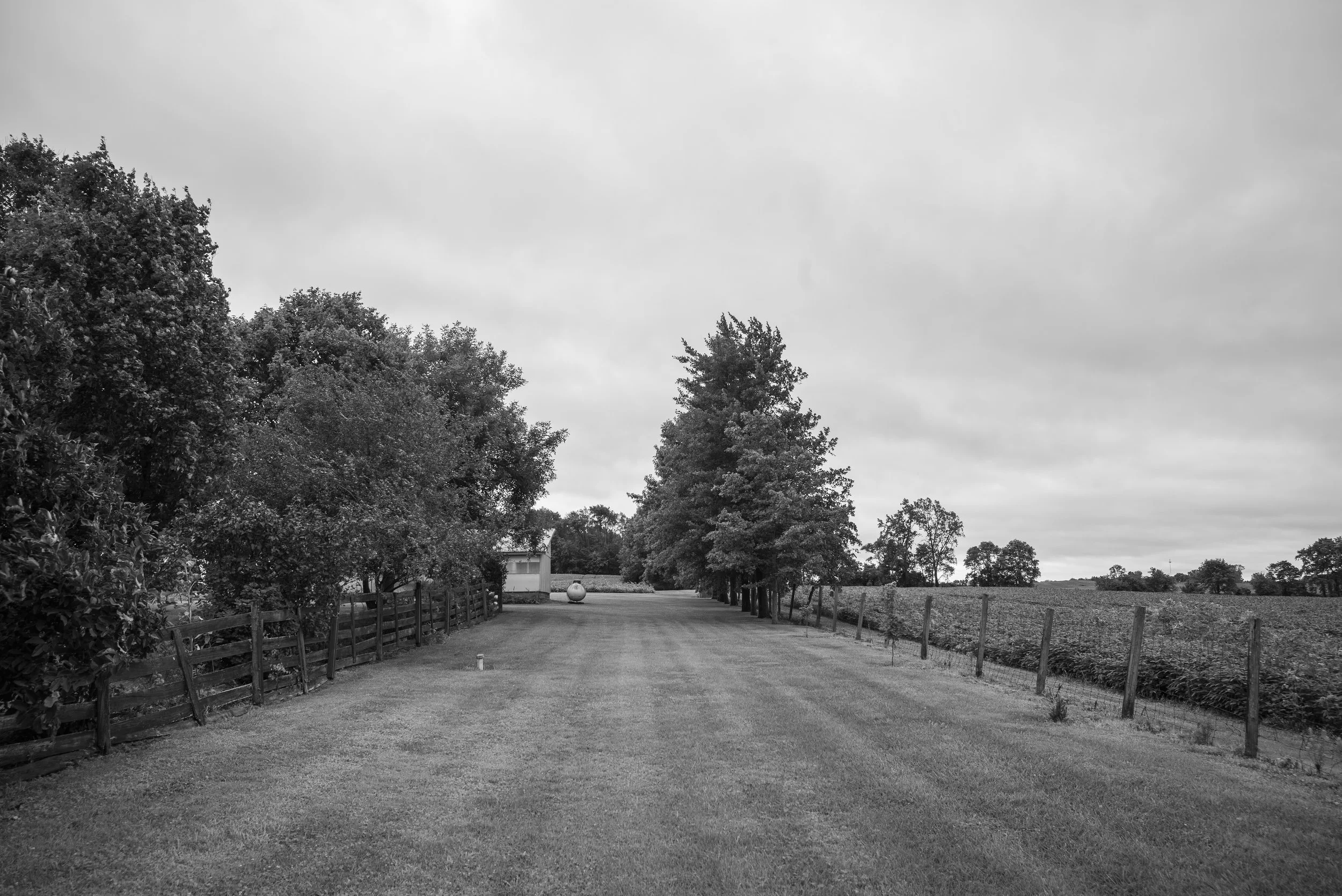 2017_Delbecq_Farm_8.jpg