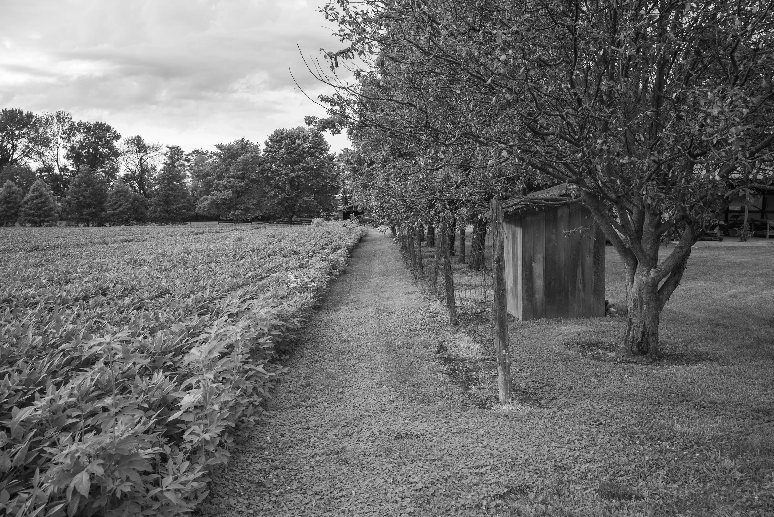2017_Delbecq_Farm_32.jpg