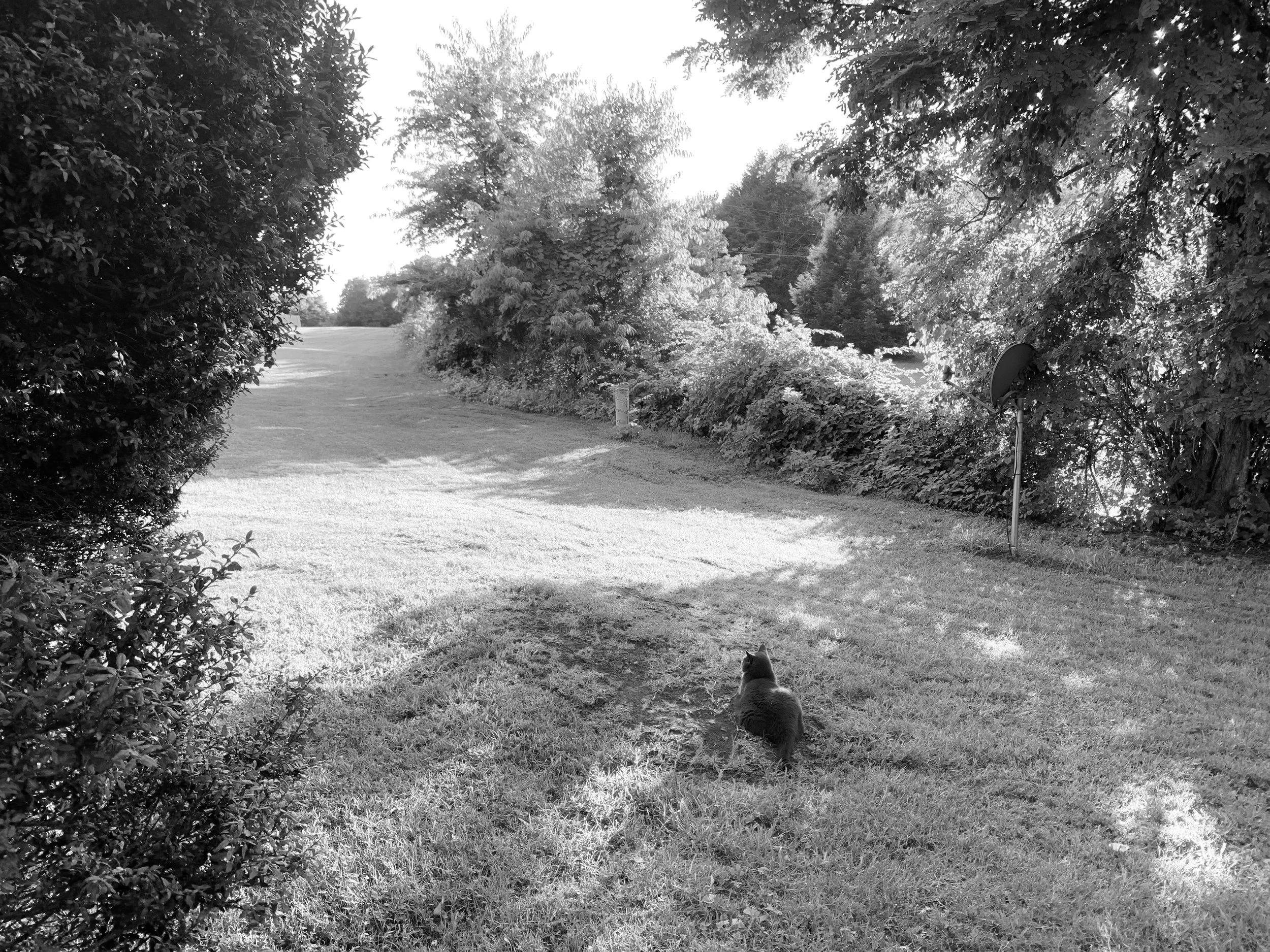 IMG_7422.jpeg