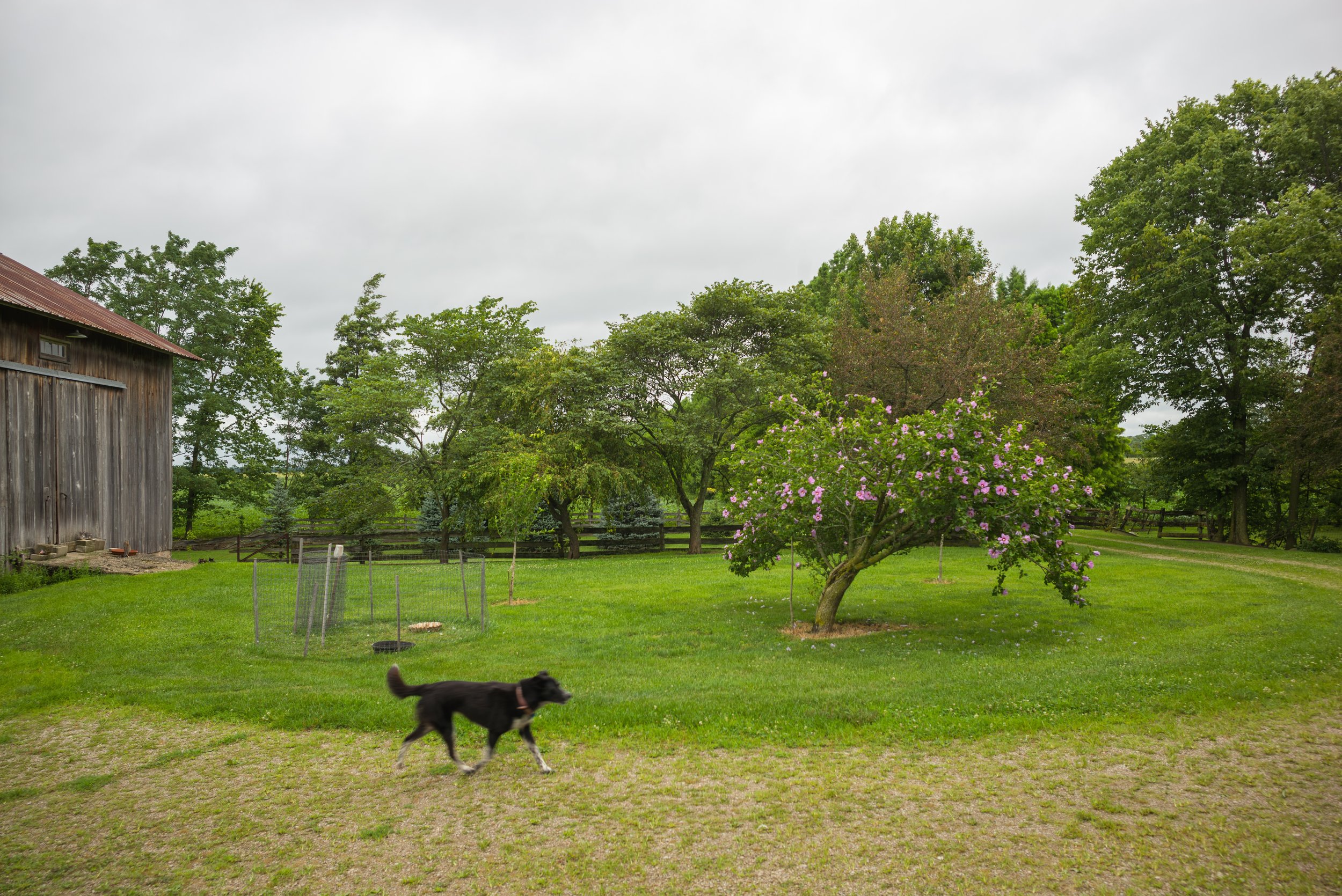 2017_Delbecq_Farm_5.jpg