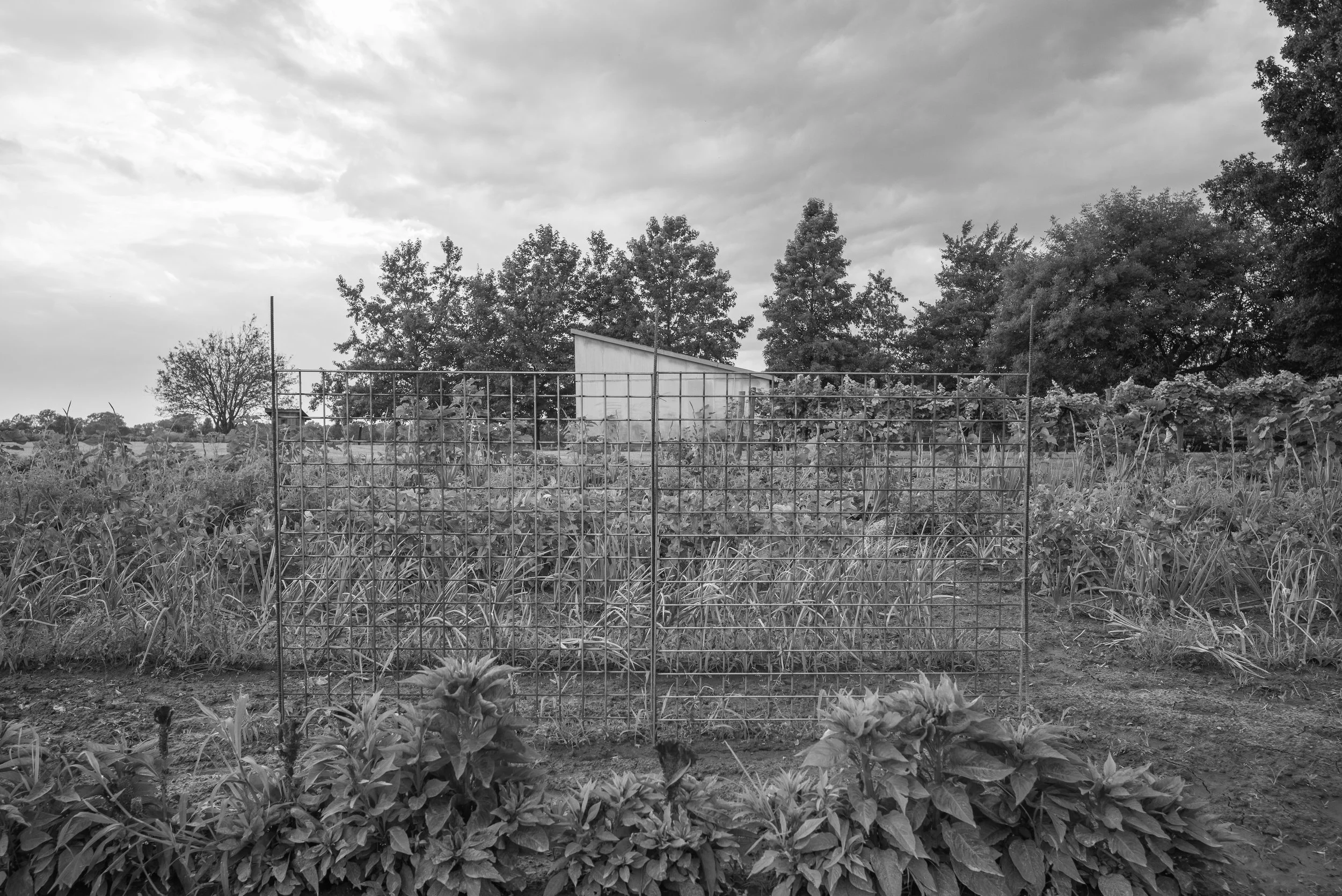 2017_Delbecq_Farm_20.jpg