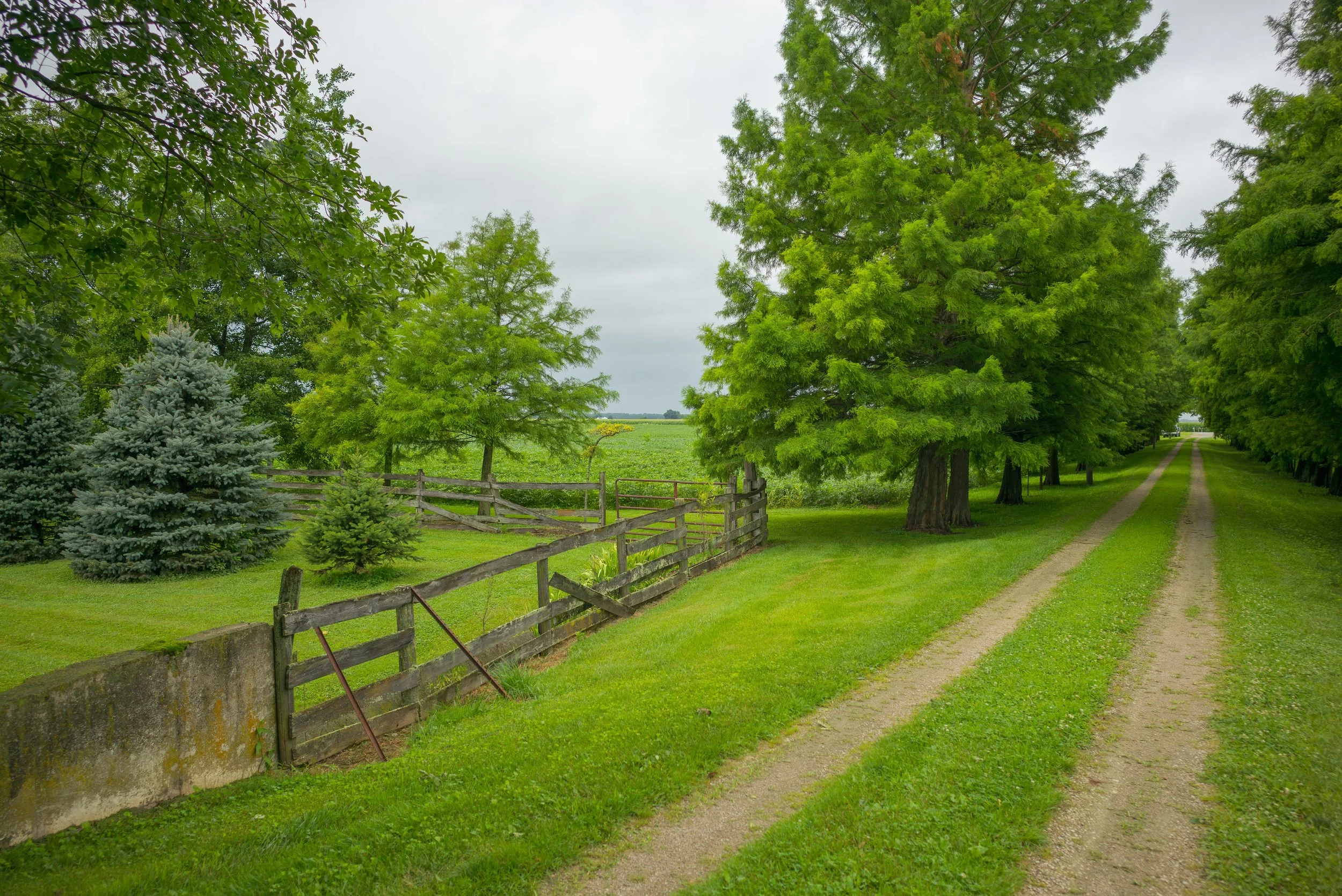 2017_Delbecq_Farm_10.jpg