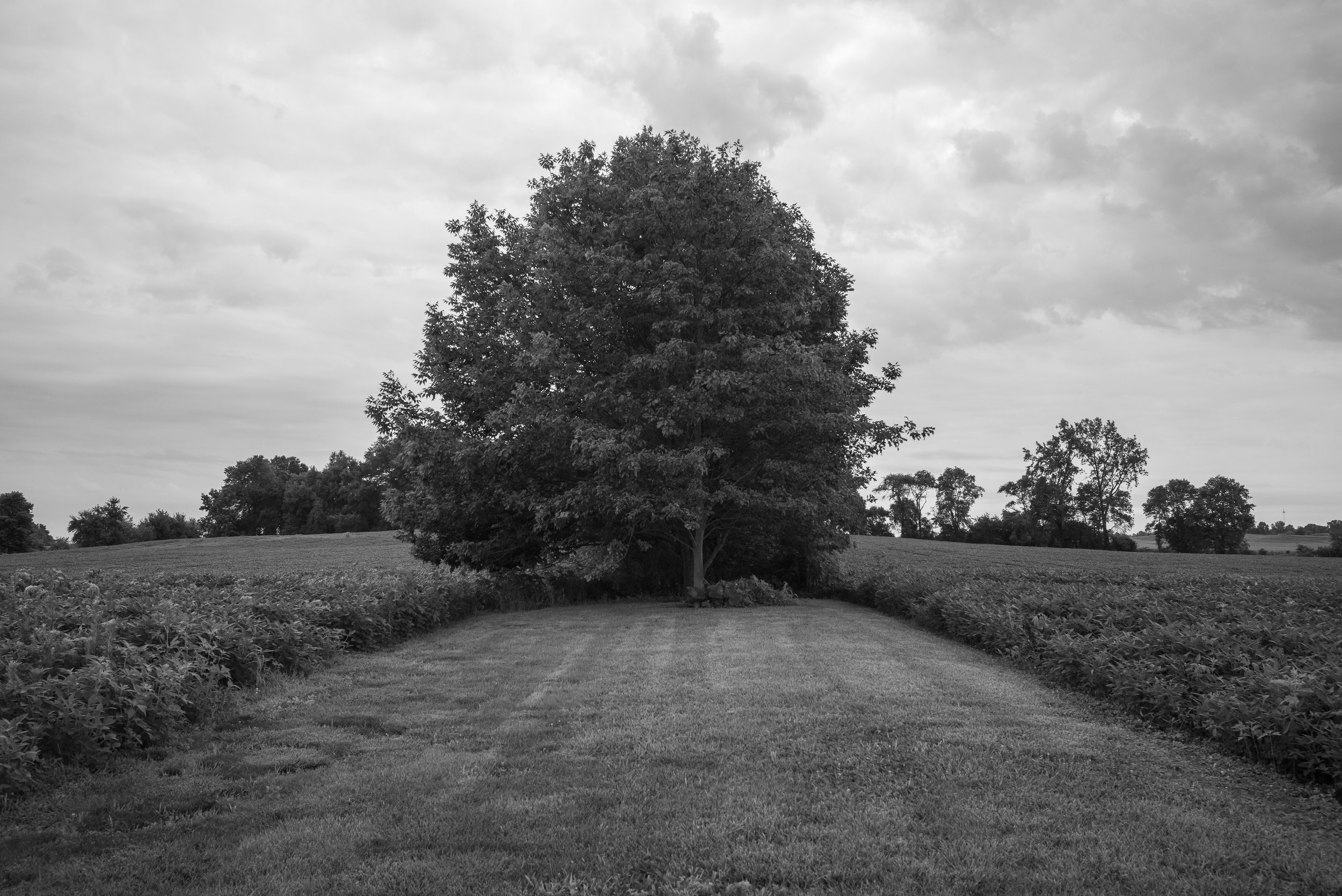 2017_Delbecq_Farm_15.jpg