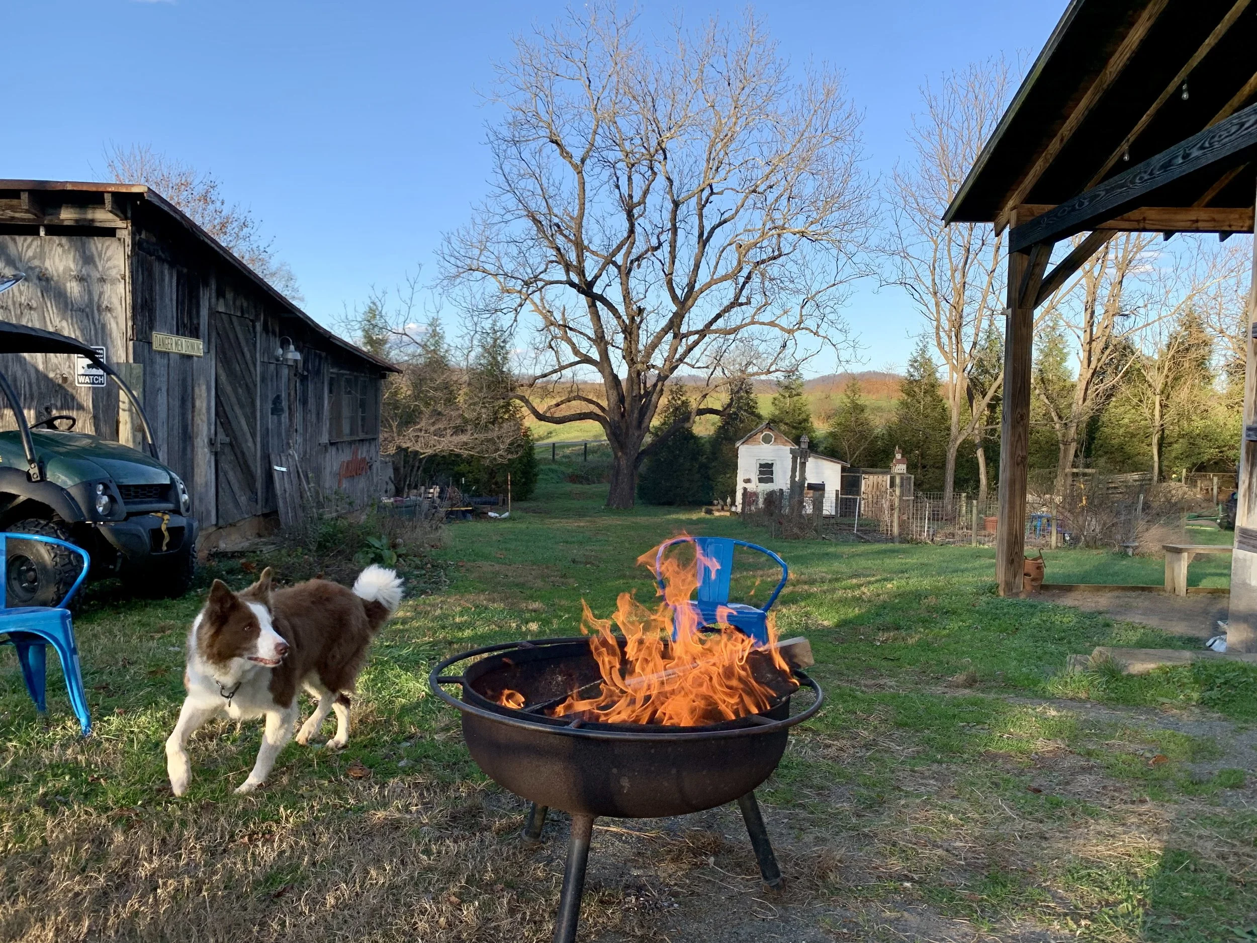 IMG_8205.jpeg