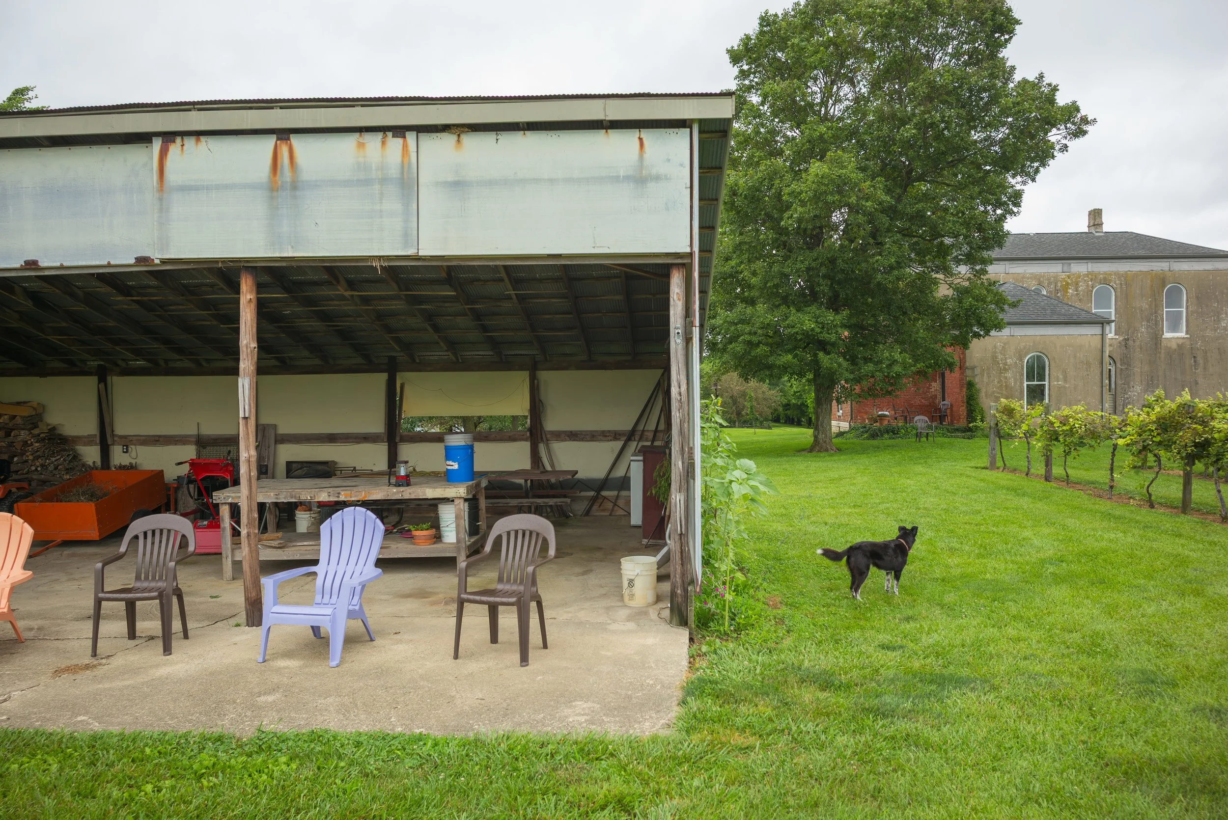 2017_Delbecq_Farm_3.jpg