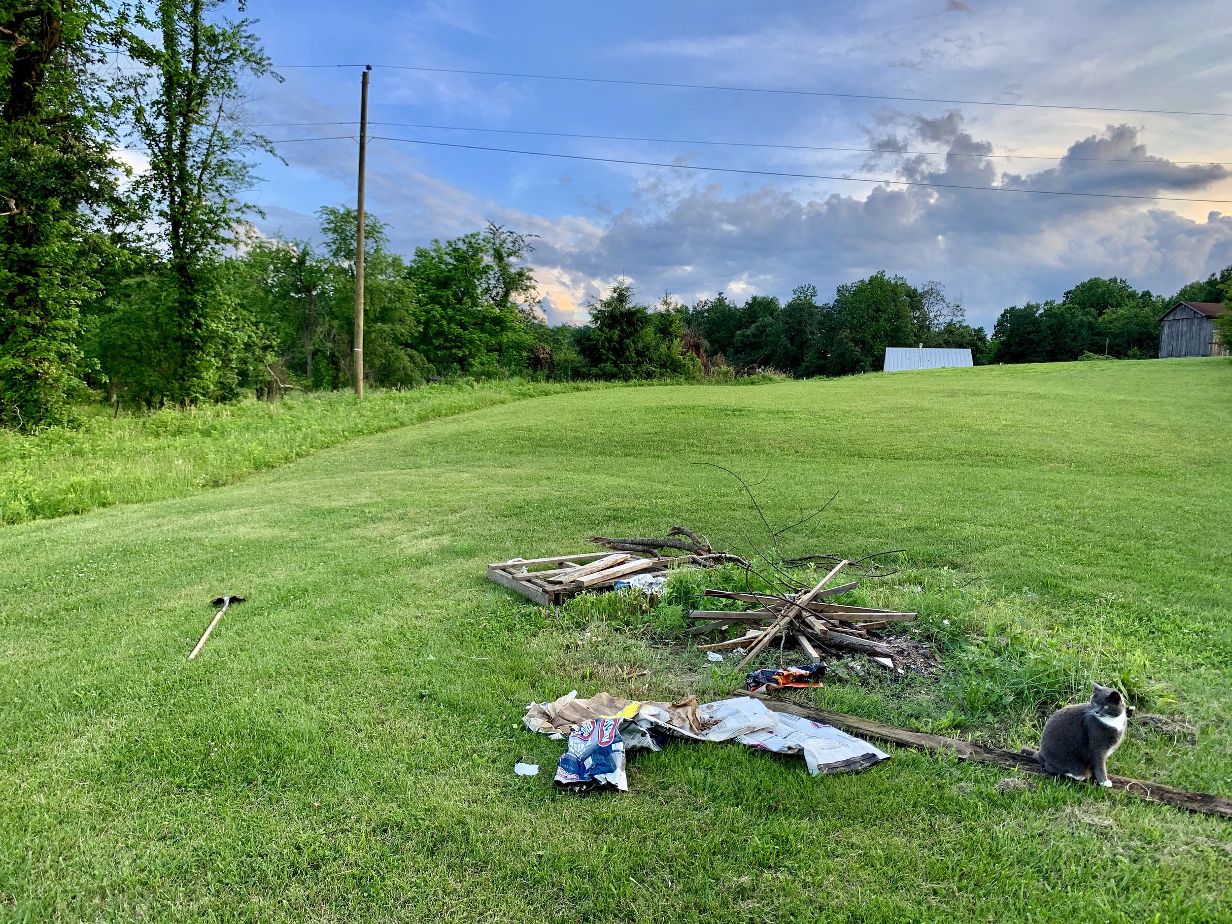 IMG_7146.jpeg