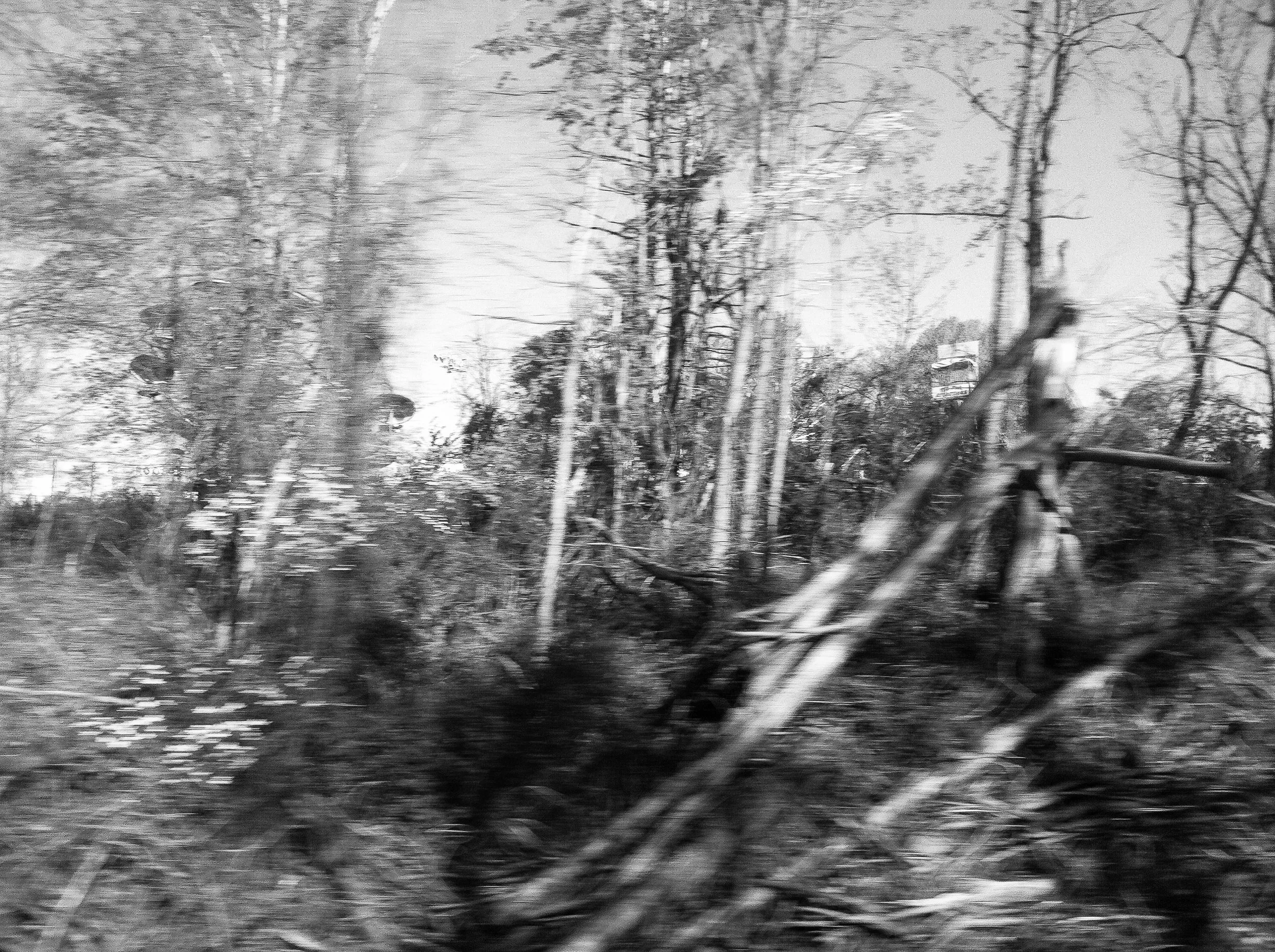 [rail corridors] obscured views of structures (Piedmont Division)