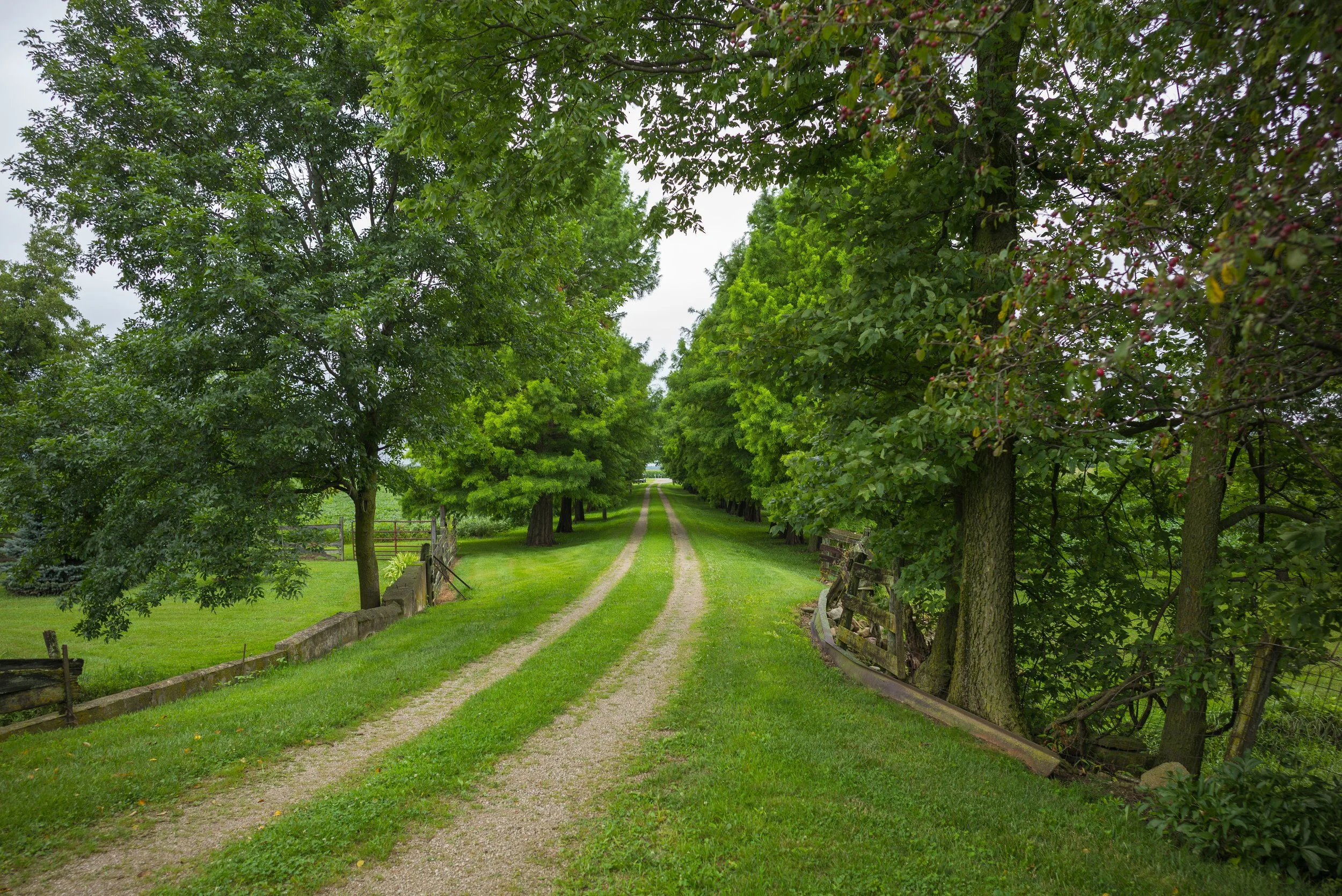2017_Delbecq_Farm_9.jpg