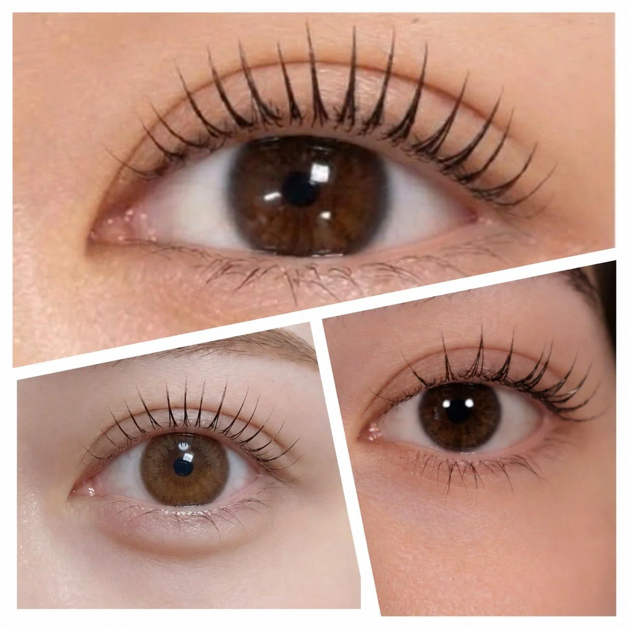 Lash Lift