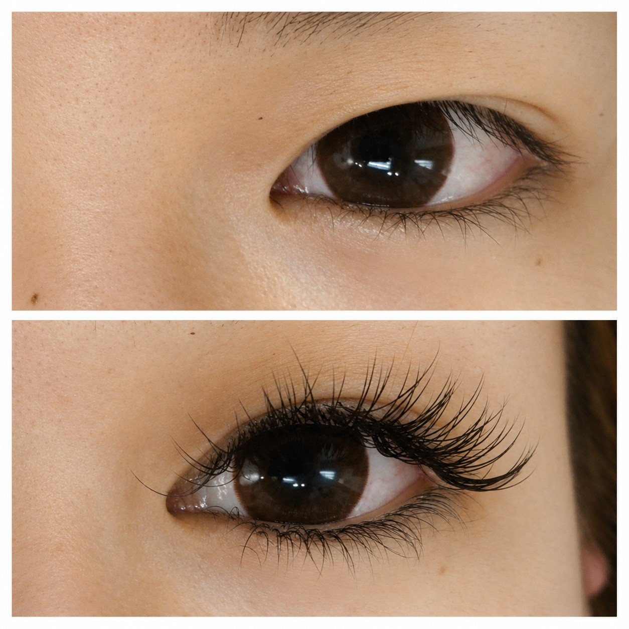 topbottomlash.jpg