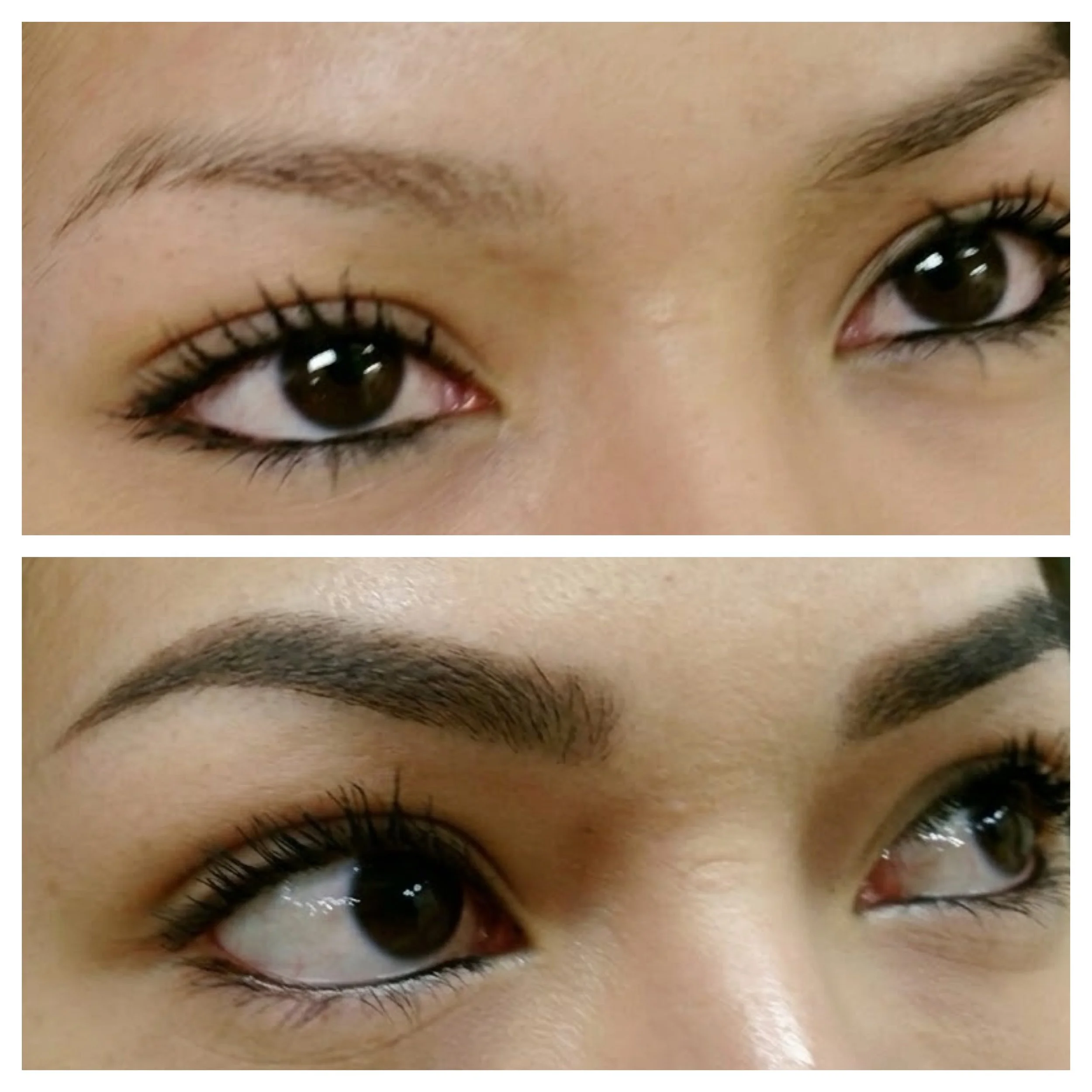 Eyebrow