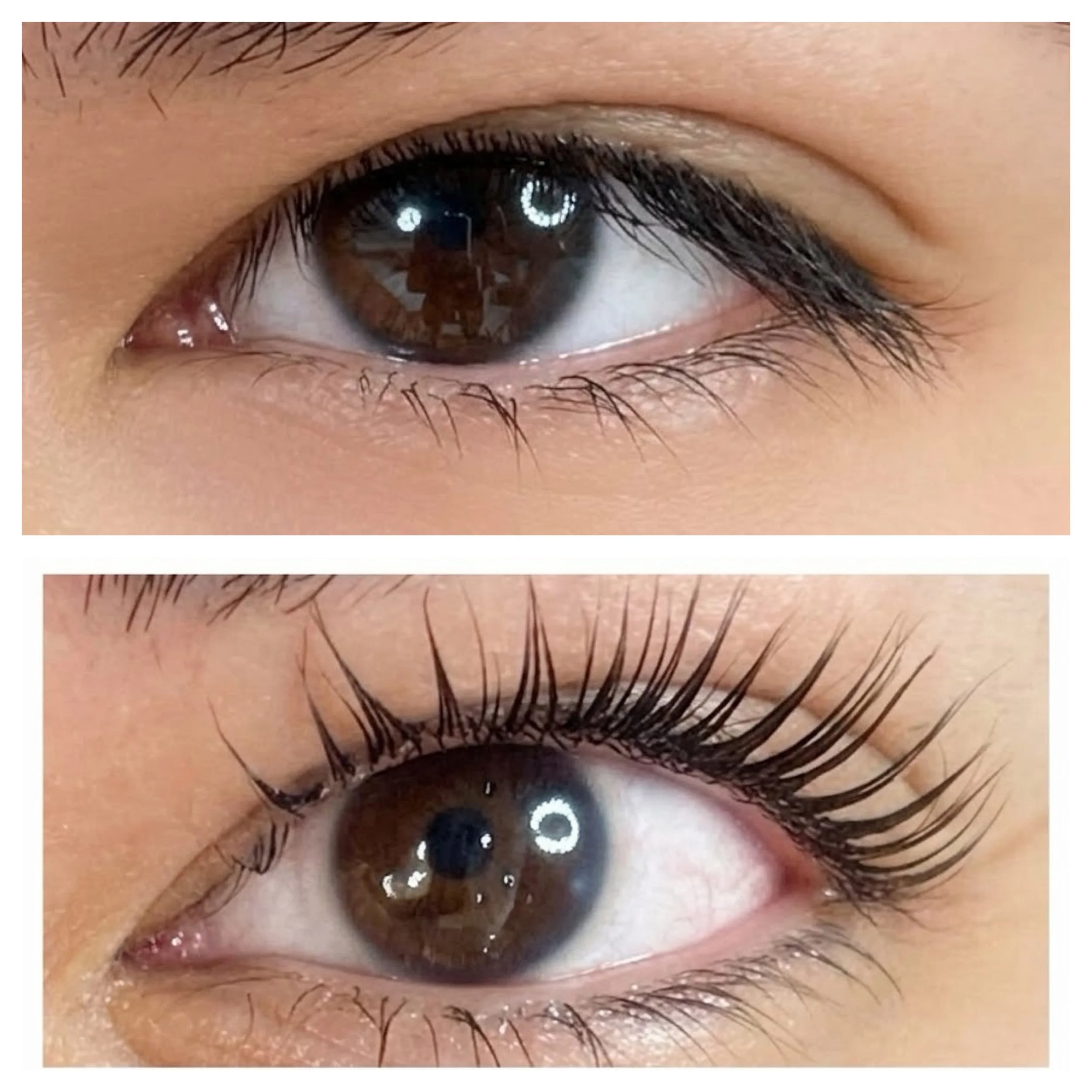 Lash Lift