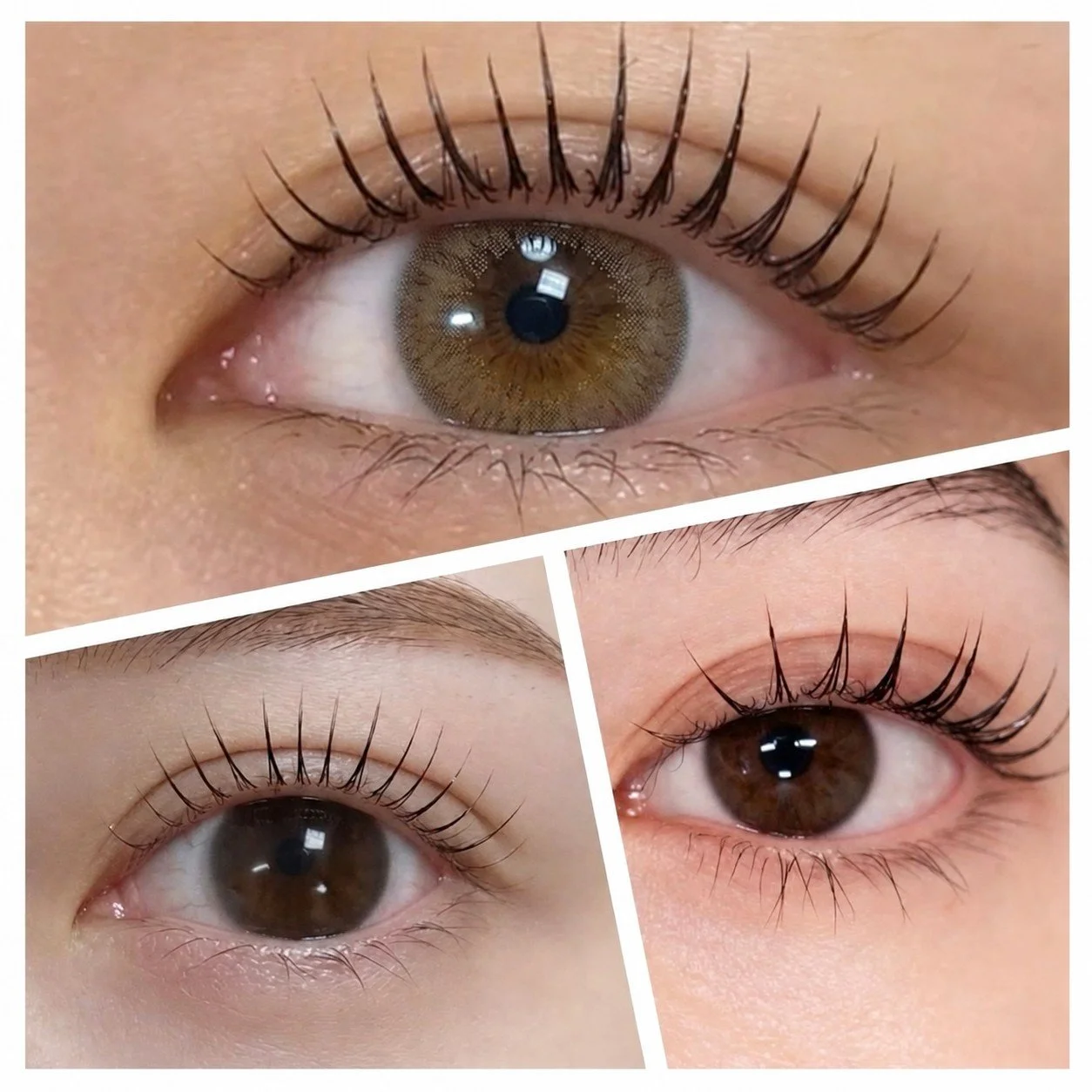 Lash Lift