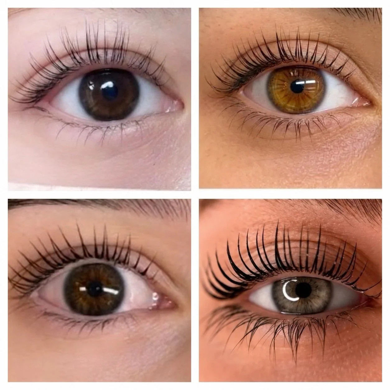 Lash Lift