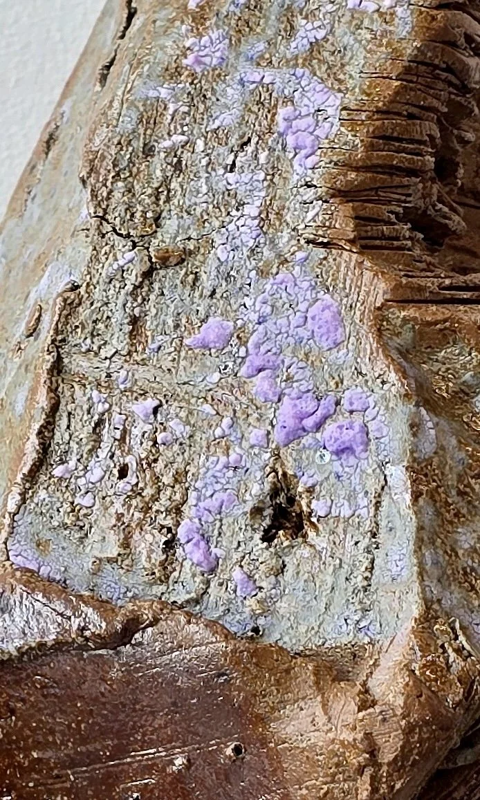 subflorescence.jpg
