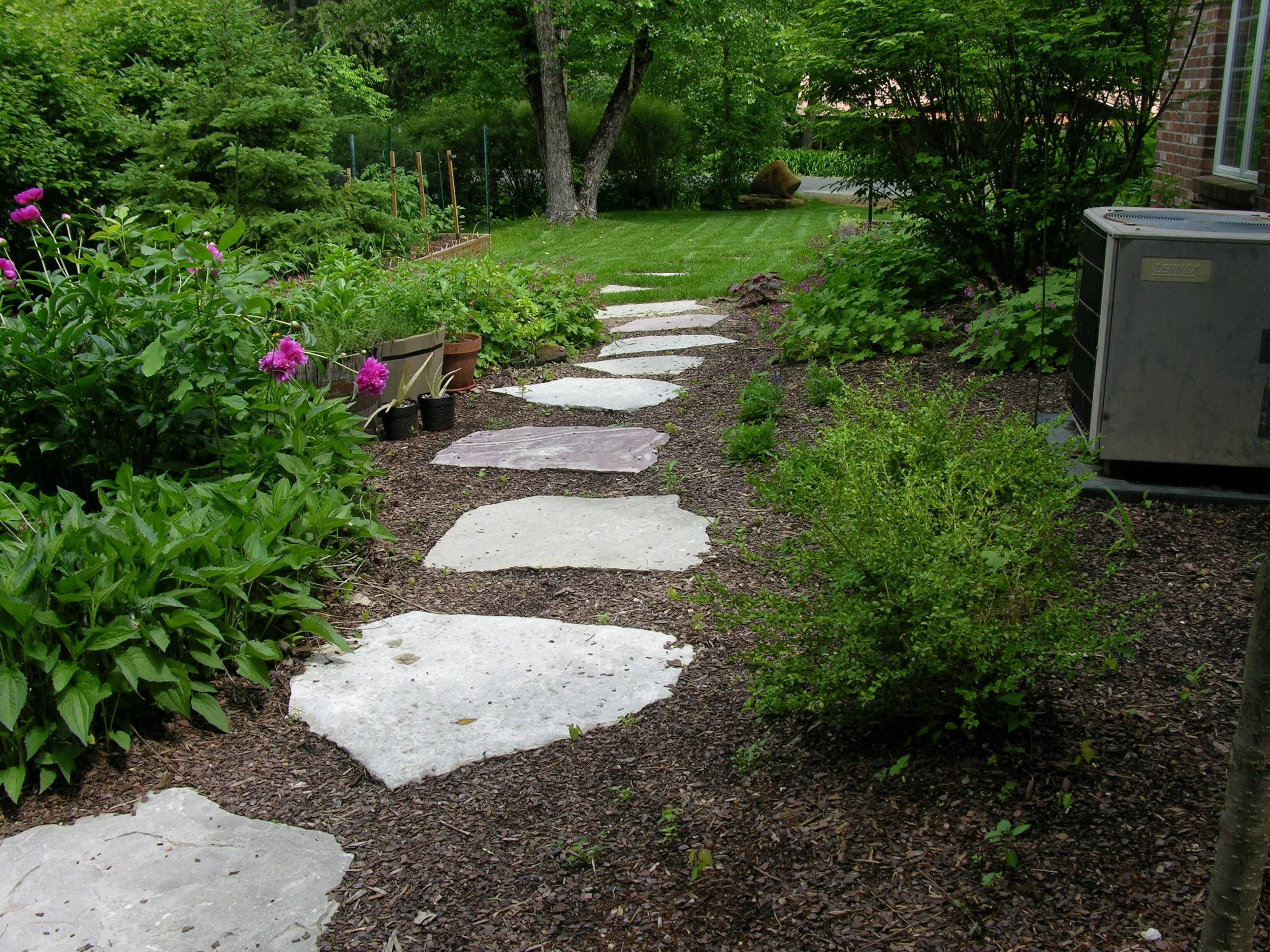 DSCN4616.JPG
