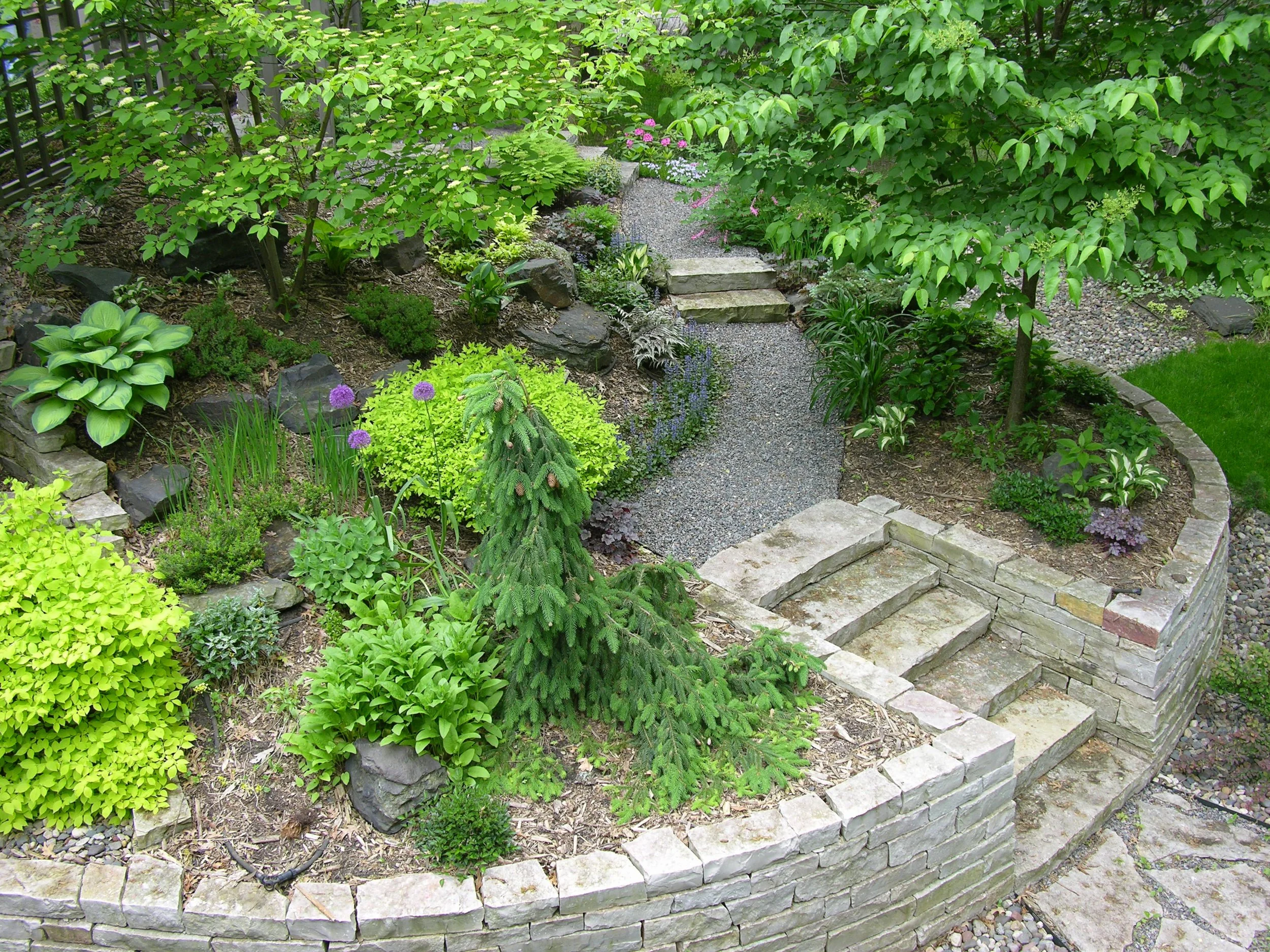 DSCN2815.JPG