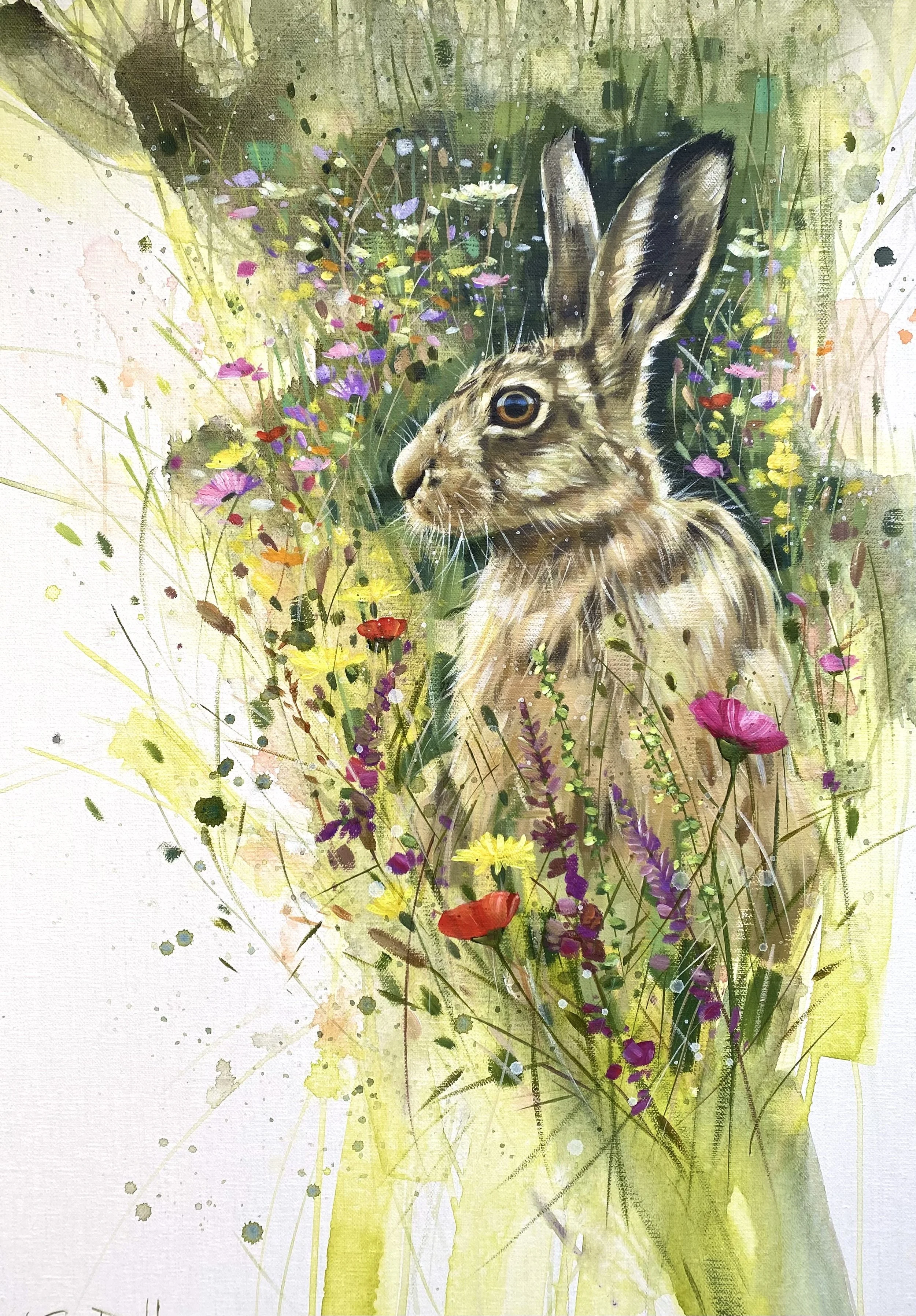 Rainbow Meadow