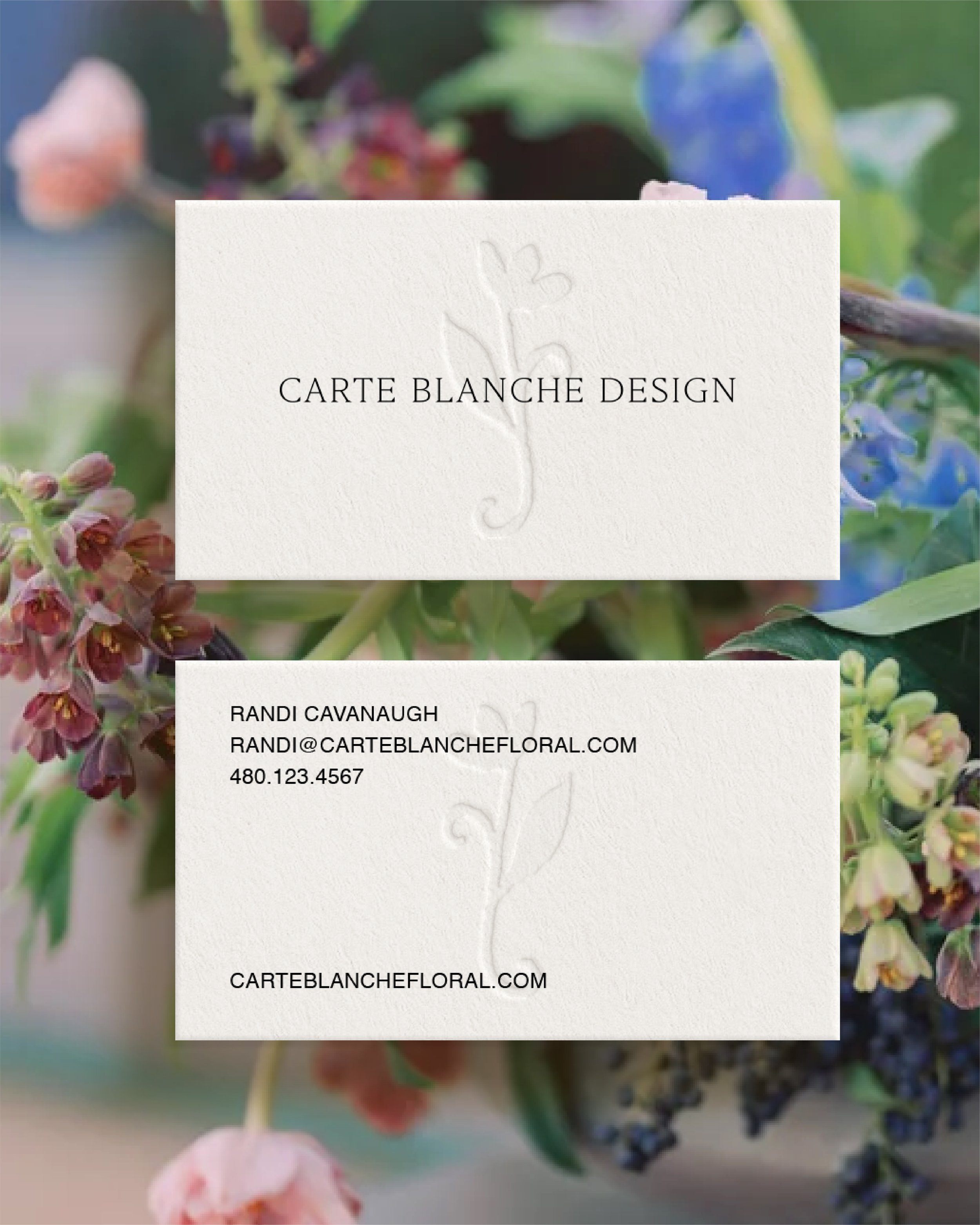 Portfolio - Carte Blanche C-04.jpg