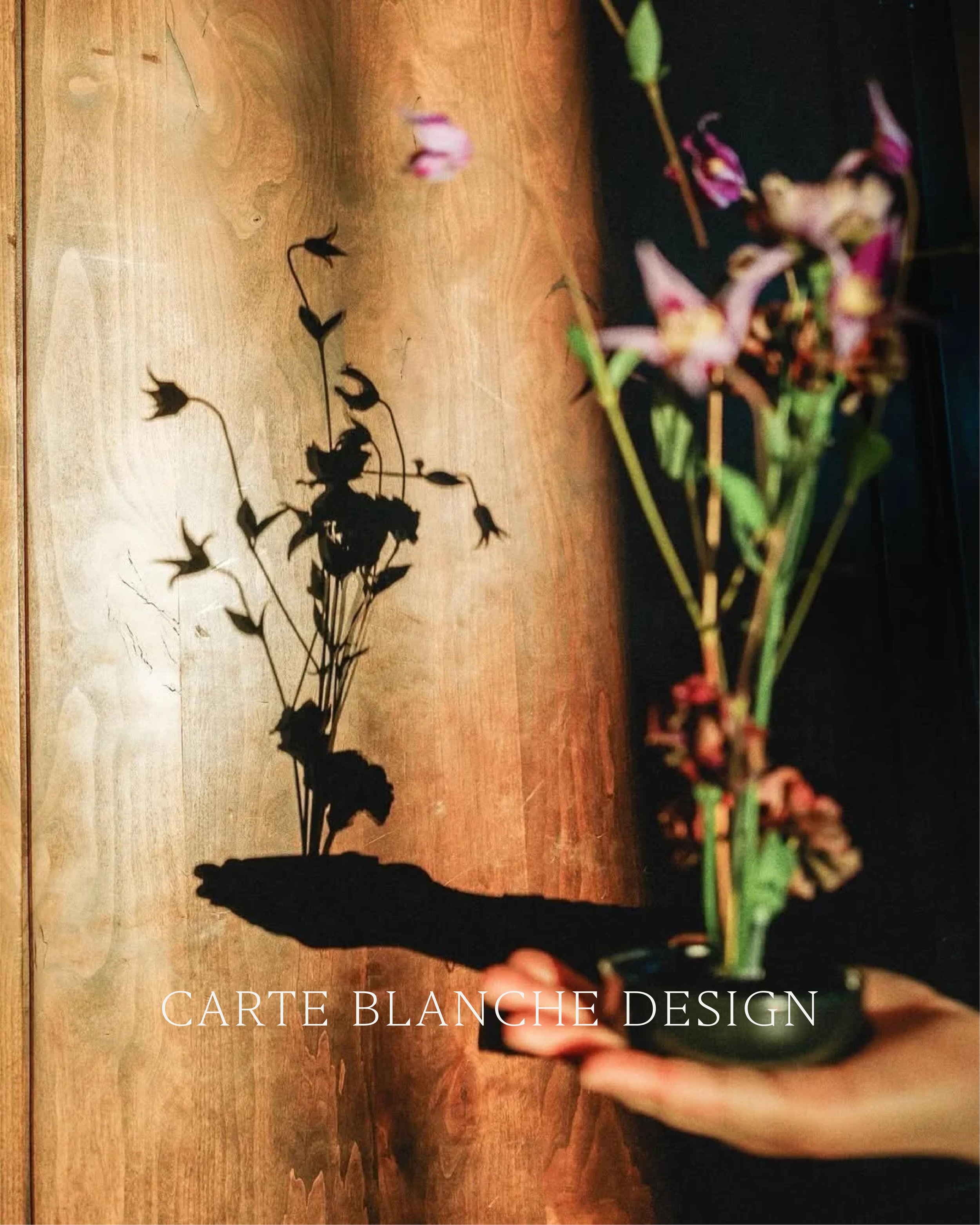 Portfolio - Carte Blanche C-01.jpg