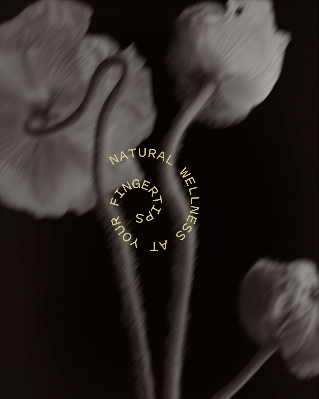 LPS.gif
