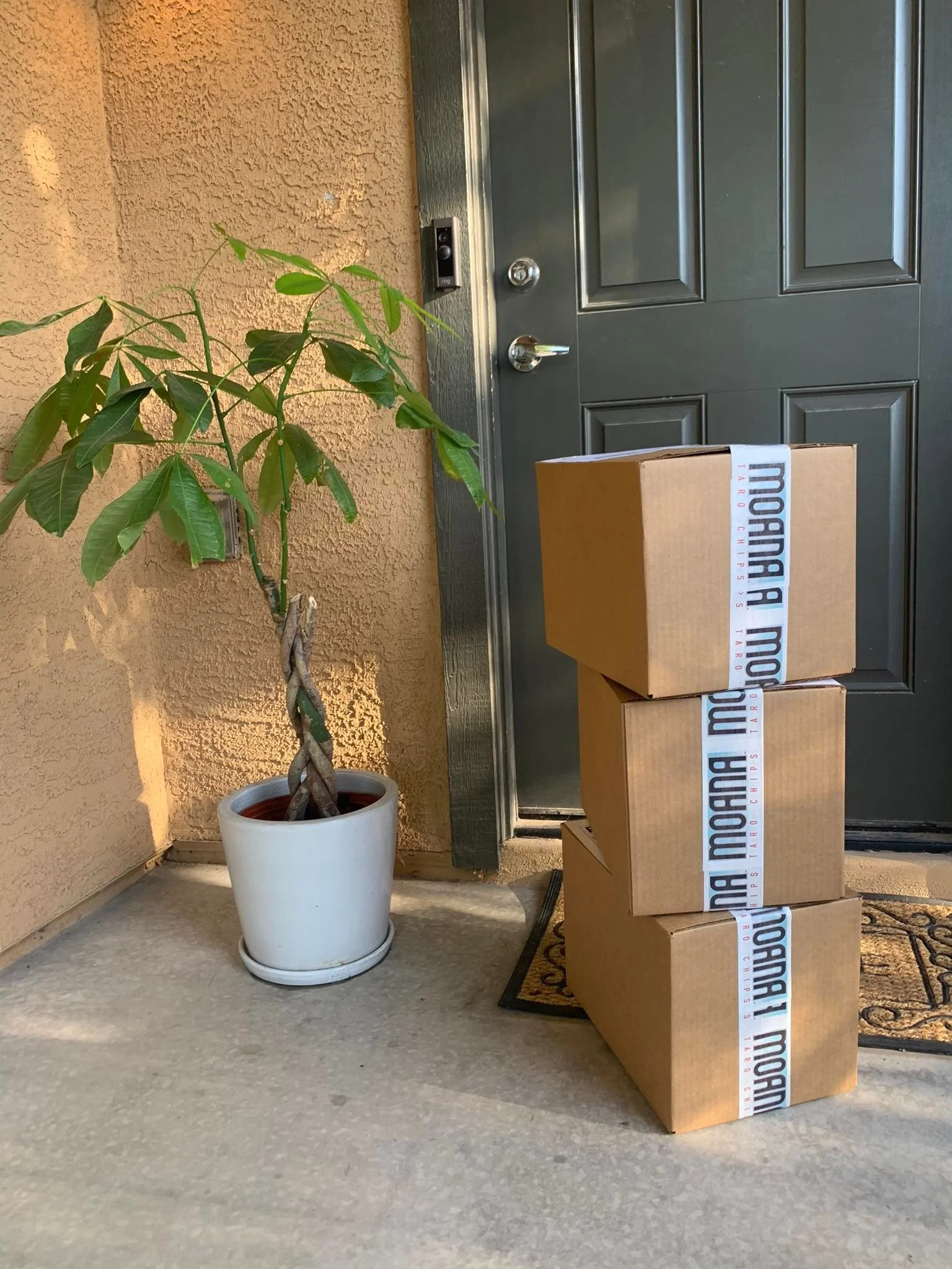 Three cardboard boxes labeled 'moana' stacked outside a house door, with a potted plant nearby on a concrete porch.
