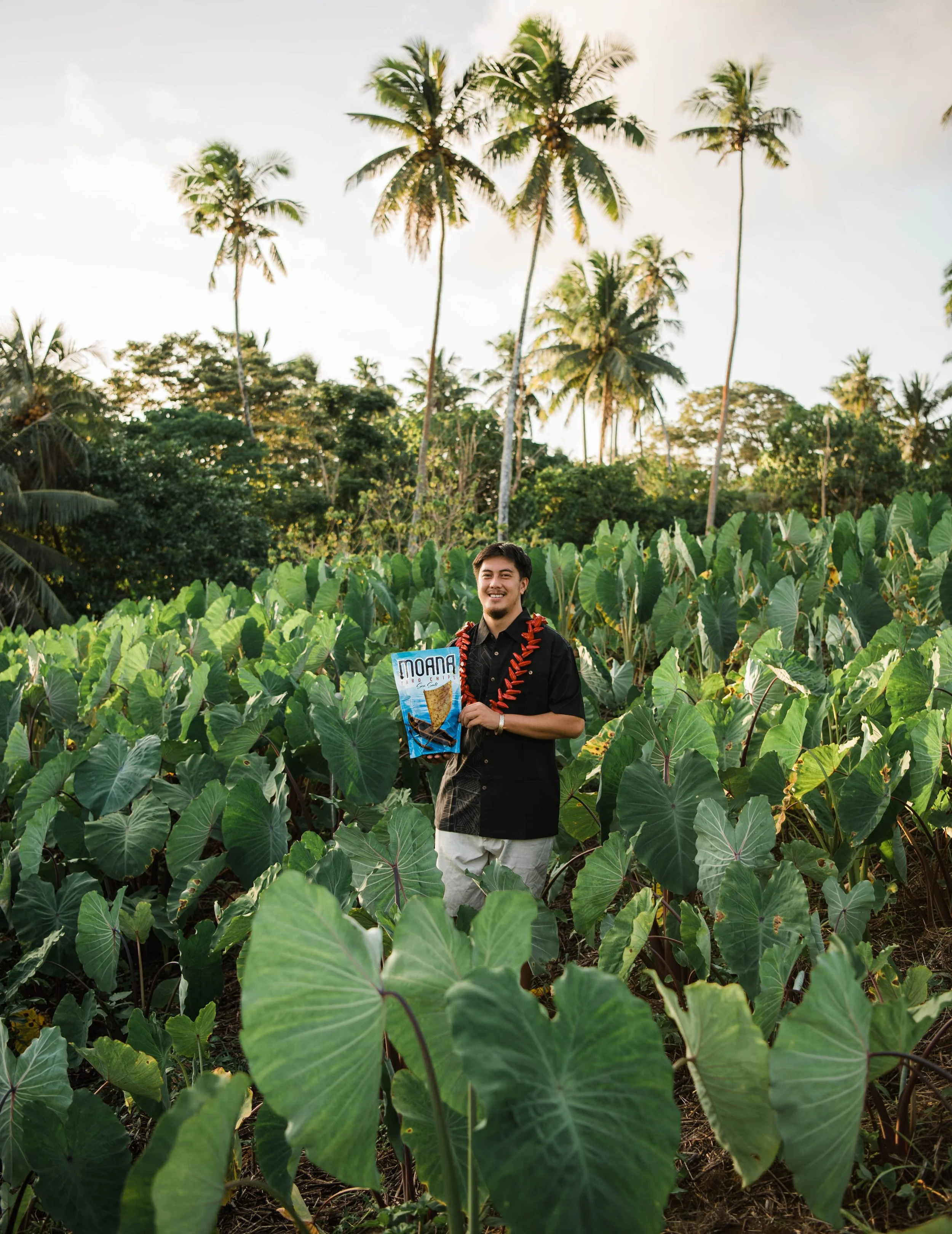 A young man standing among green taro plants in a lush tropical setting, holding a magazine, with palm trees and blue sky in the background.