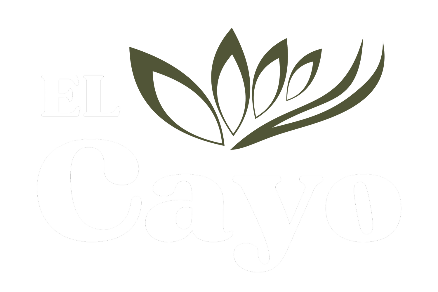 El Cayo