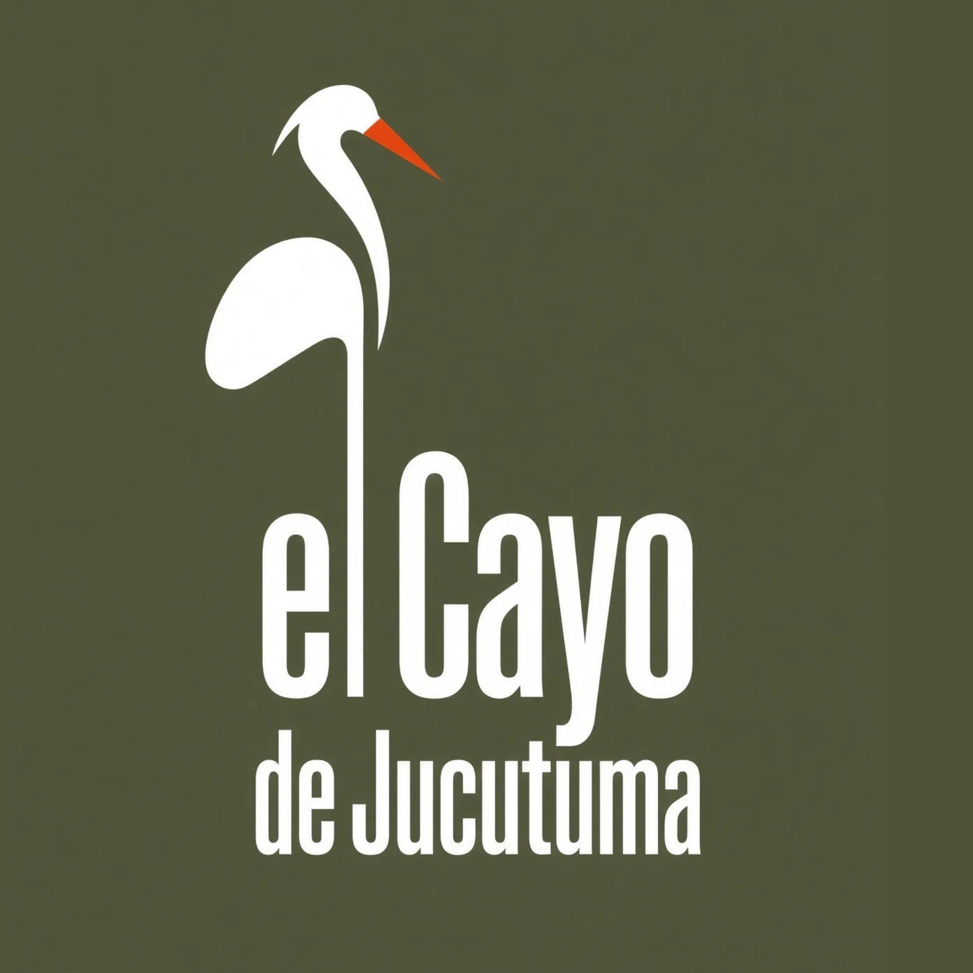 La garza en el agua