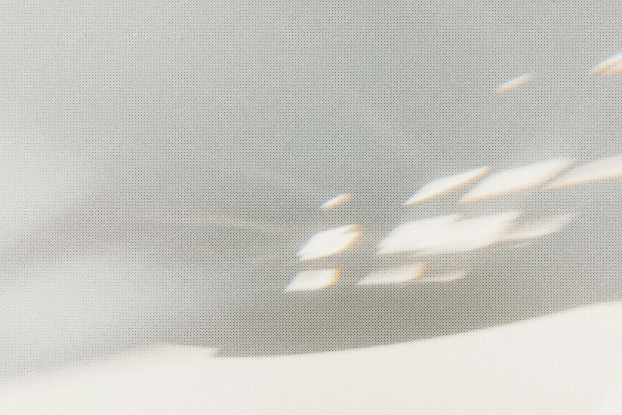 A ceiling with white rectangular light fixtures.